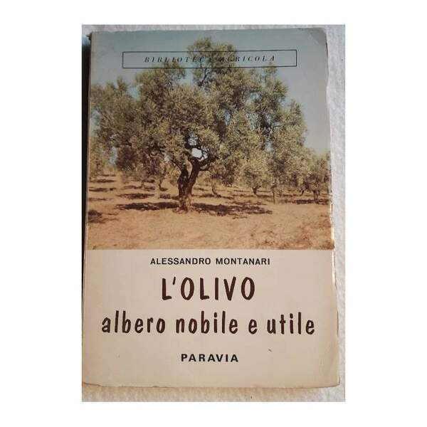 L'OLIVO ALBERO NOBILE E UTILE(1965)