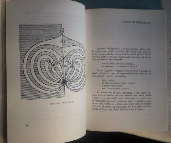 FUROR MATHEMATICUS(1967)
