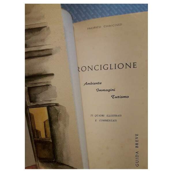 RONCIGLIONE-AMBIENTE IMMAGINI TURISMO-GUIDA BREVE