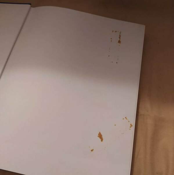 DI CHE STILE E'? (1988)