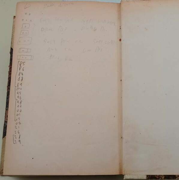 MANUALE DI STORIA DEL DIRITTO ITALIANO-VOL I E II-( 1901?)