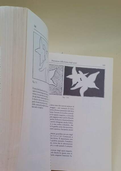 DISEGNARE CON LA PARTE DESTRA DEL CERVELLO(1990)
