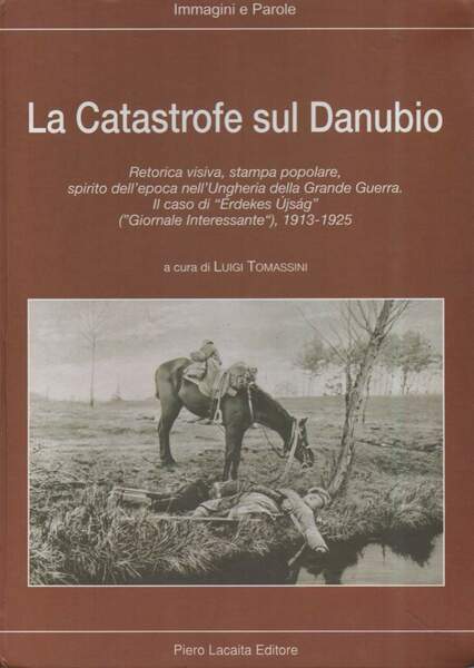 LA CATASTROFE SUL DANUBIO (2004)