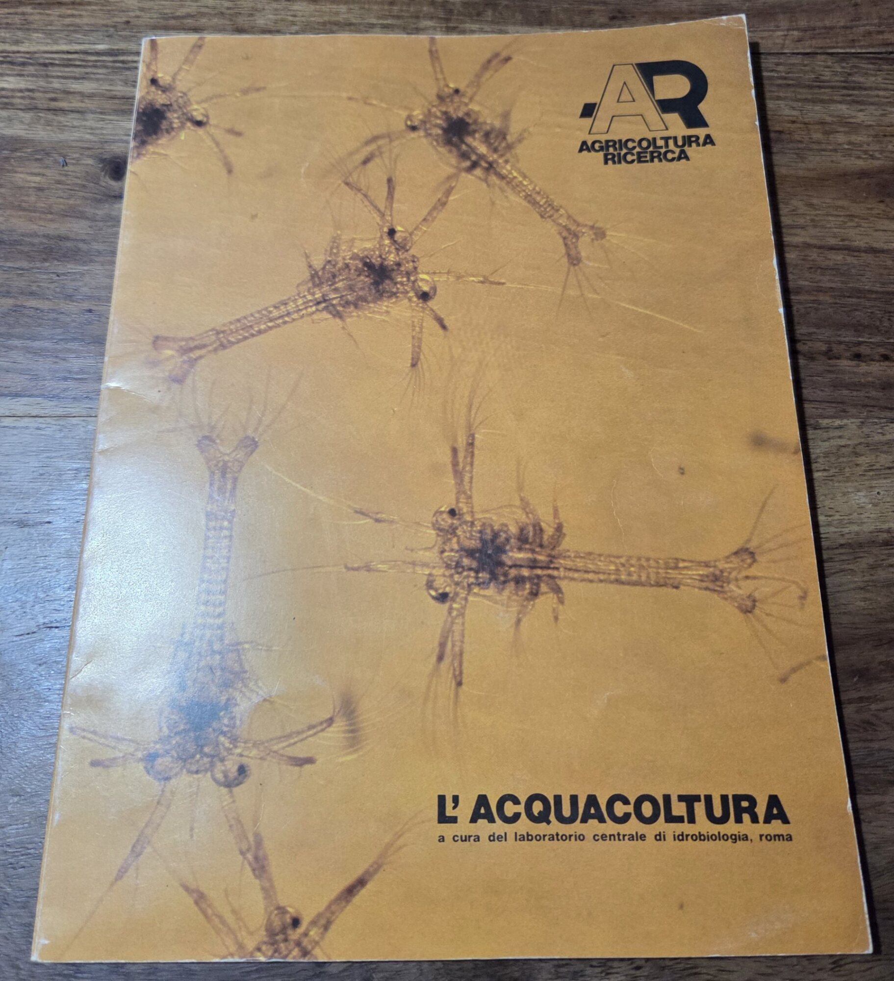 Acquacoltura - Situazione attuale e prospettive in Italia - I' …