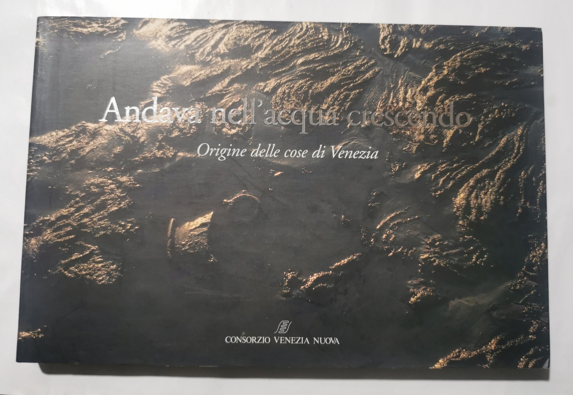 Andava nell'acqua crescendo - Origine delle cose di Venezia