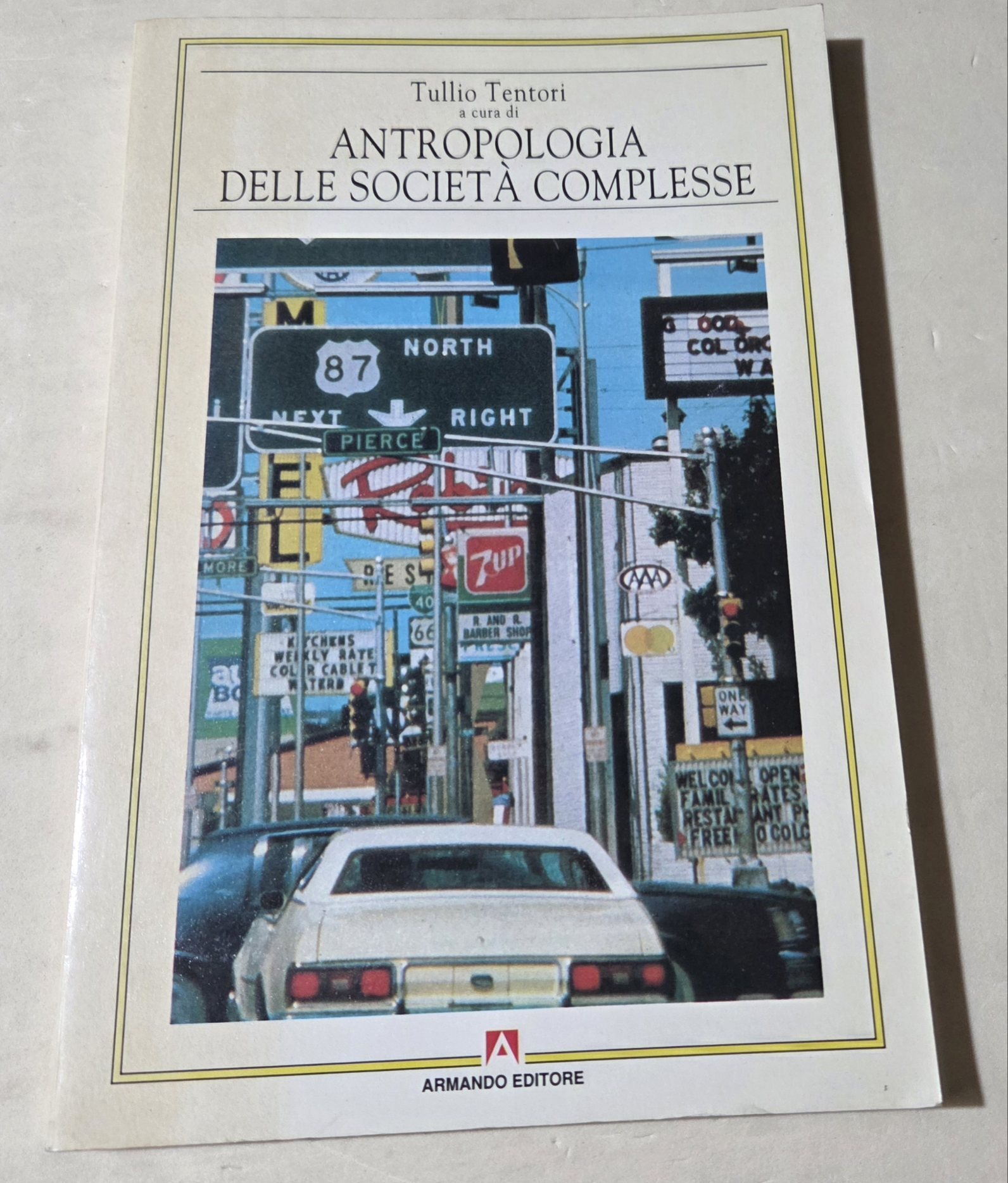 Antropologia delle società complesse