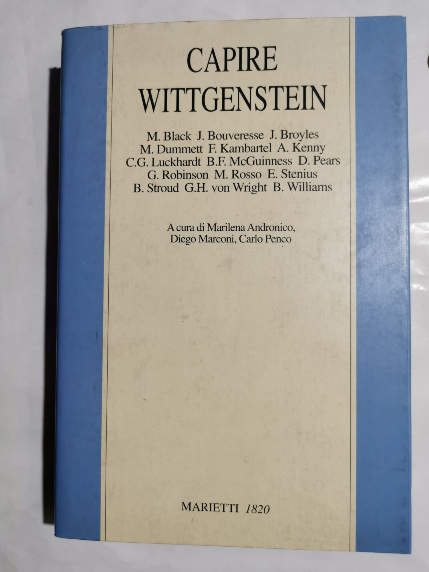 Capire Wittgenstein