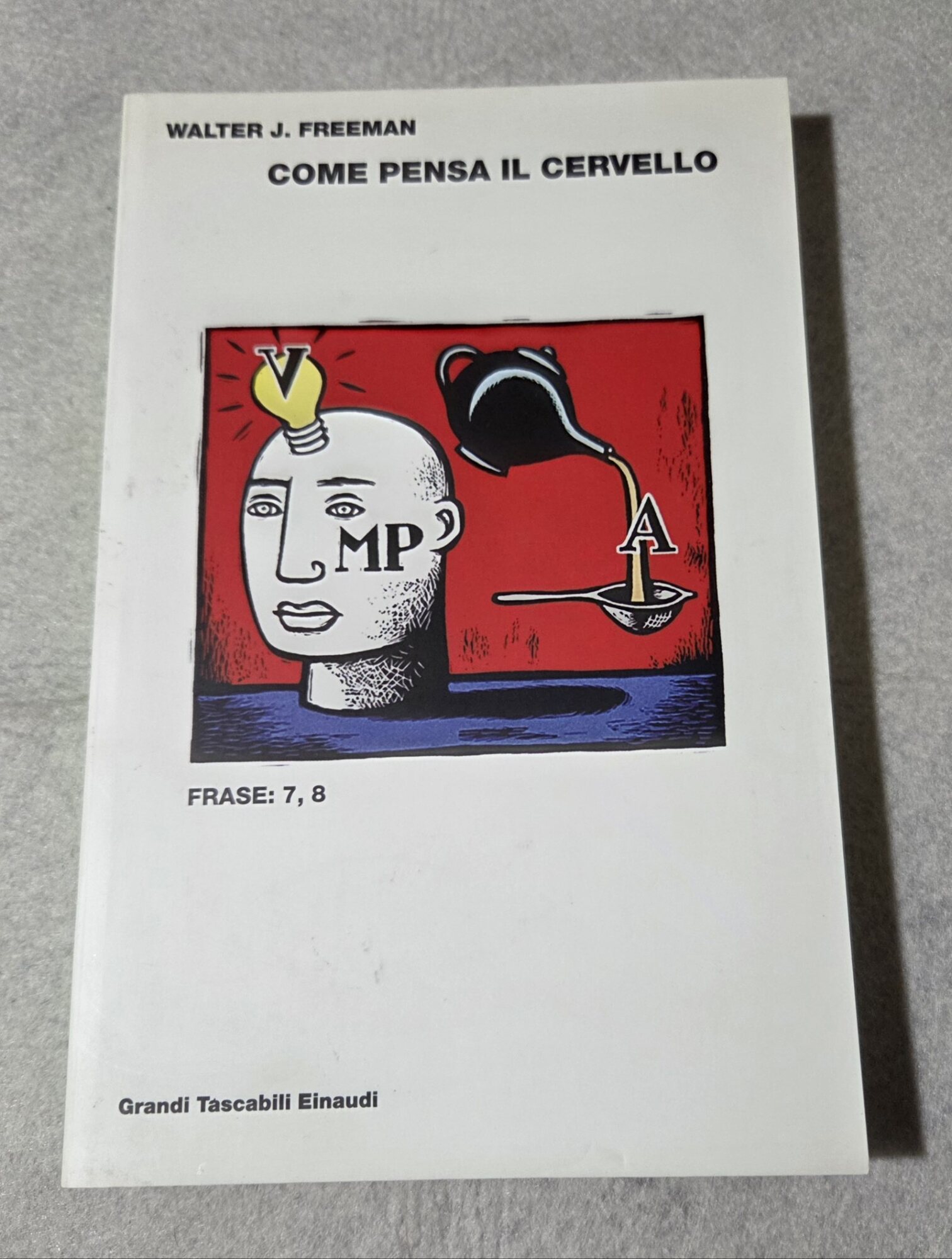 Come pensa il cervello