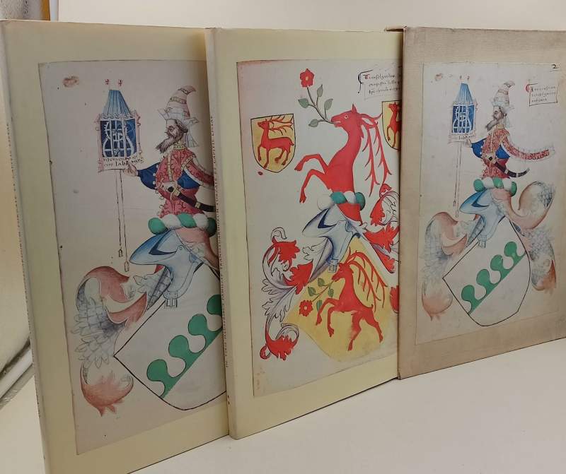 DE VIRIS ILLUSTRIBUS FAMILIAE TRANSELGARDORUM FORZATE ET CAPITIS LISTAE( 1972)