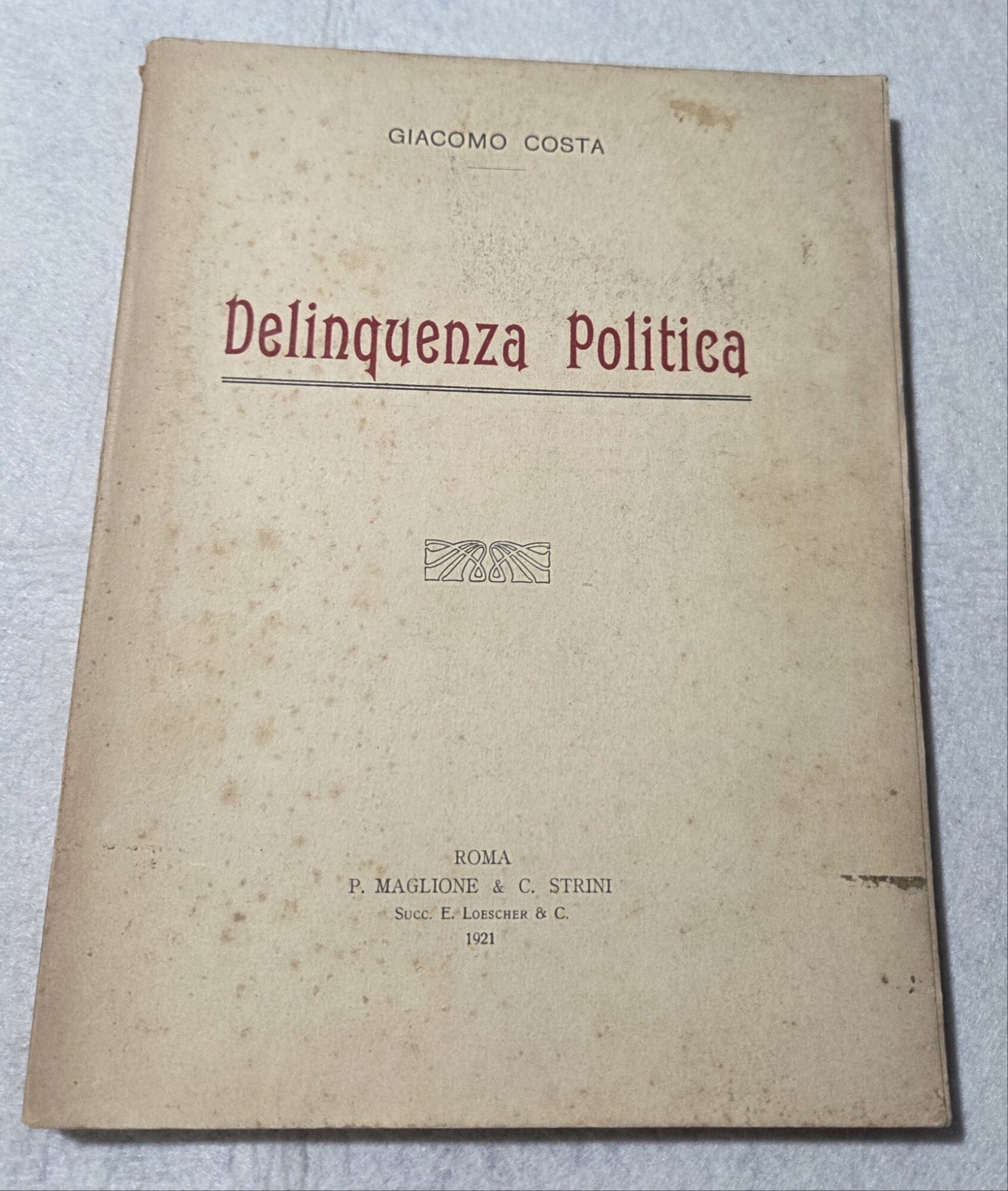 Delinquenza politica