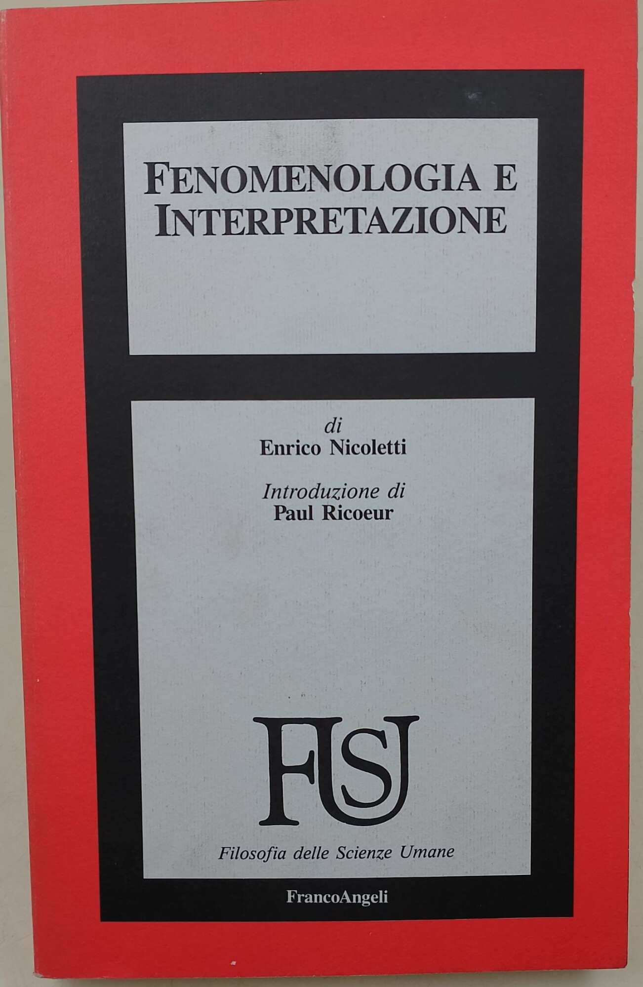 Fenomenologia e interpretazione