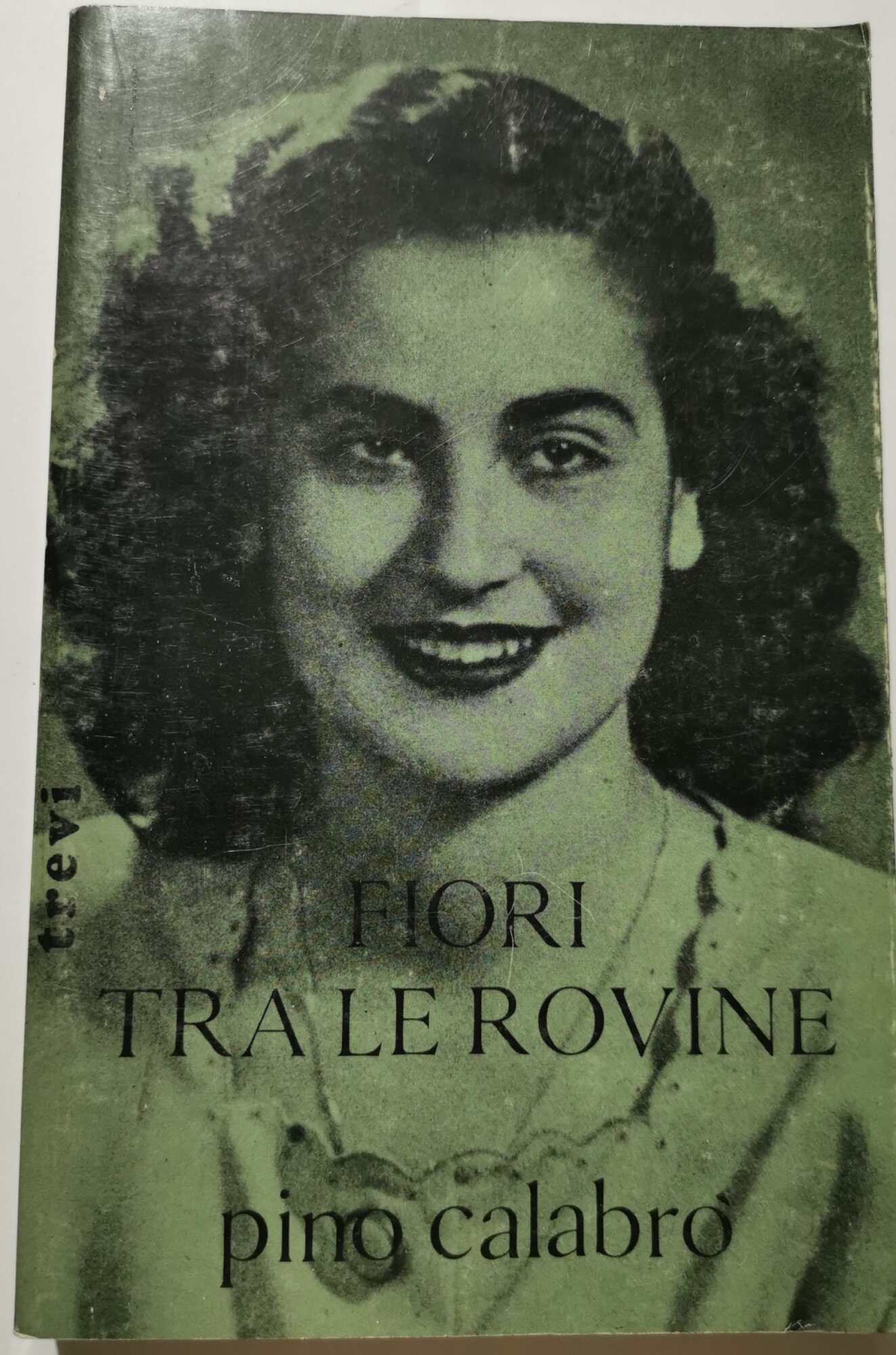 Fiori tra le rovine