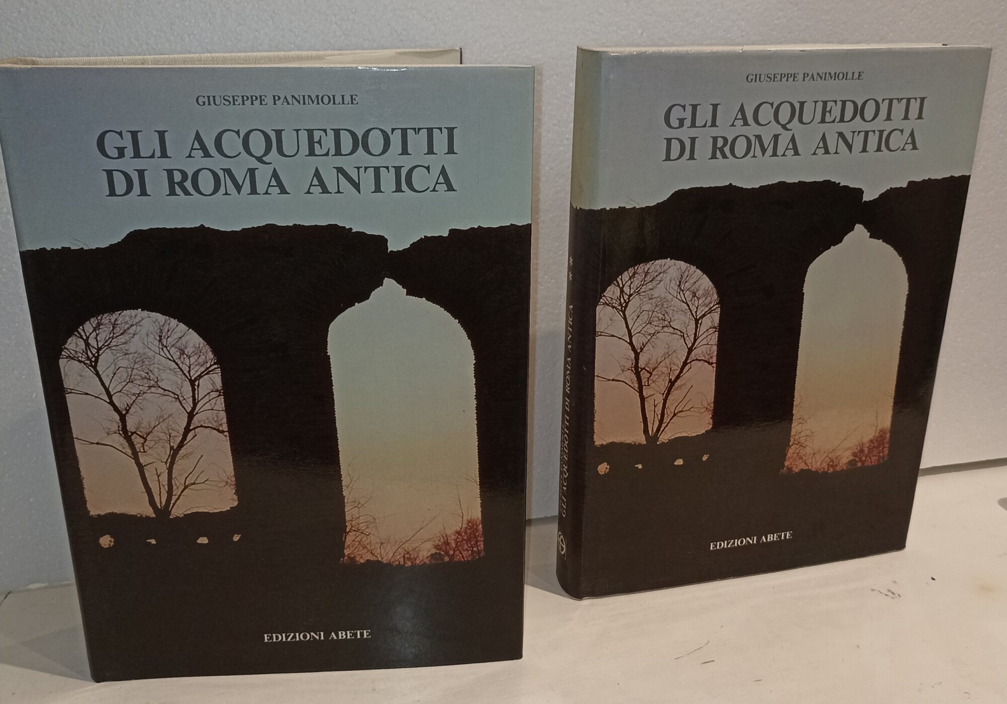 Gli acquedotti di Roma antica