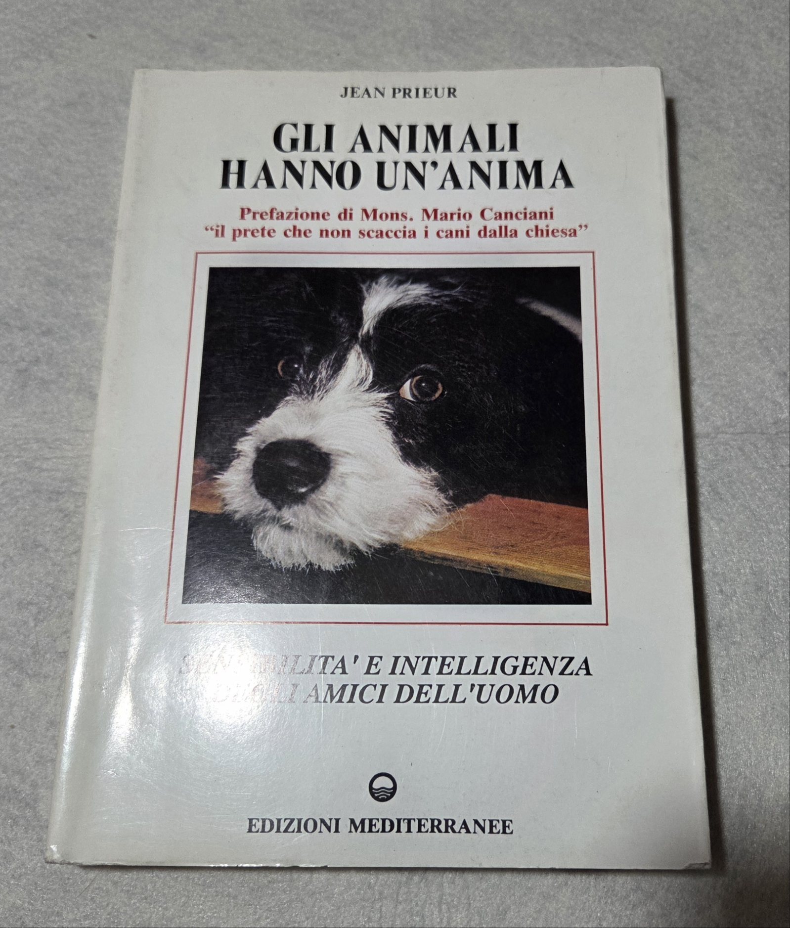 Gli animali hanno un'anima