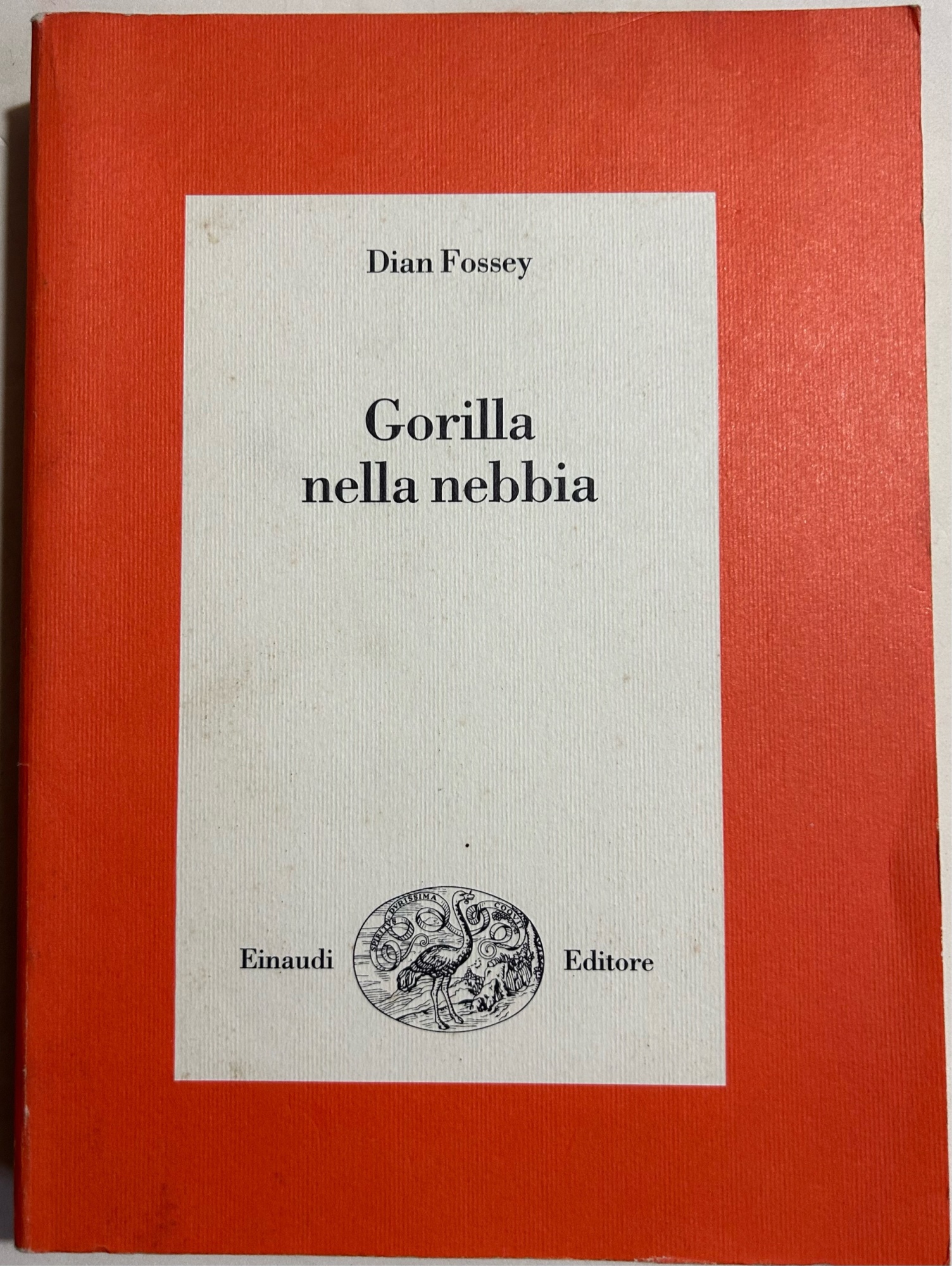 Gorilla nella nebbia