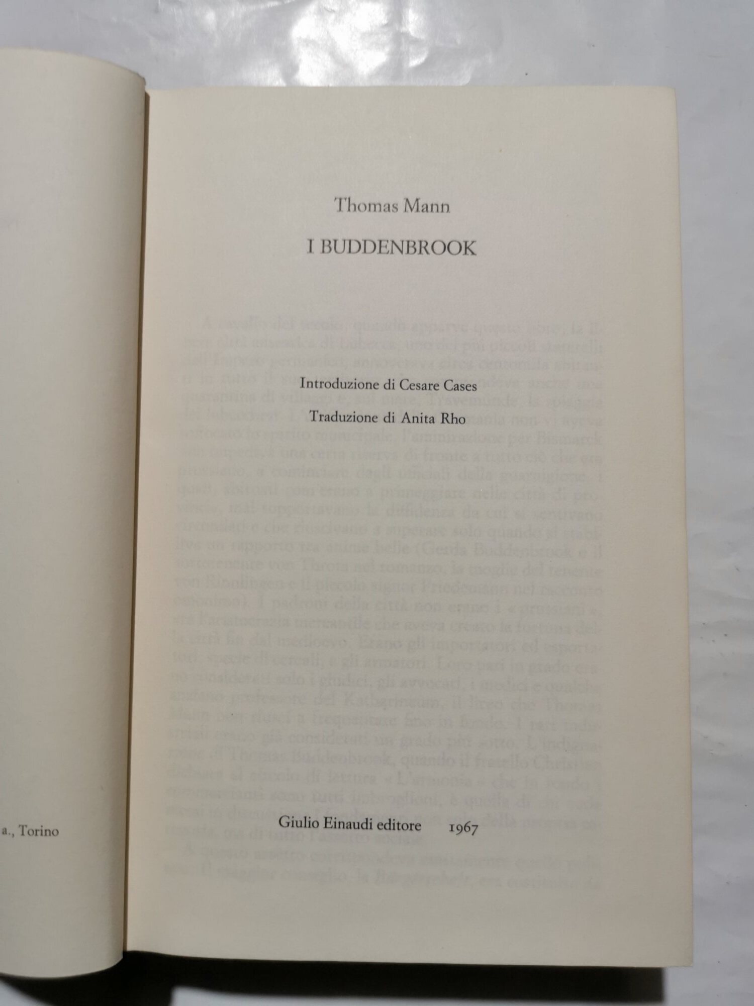I Buddenbrook