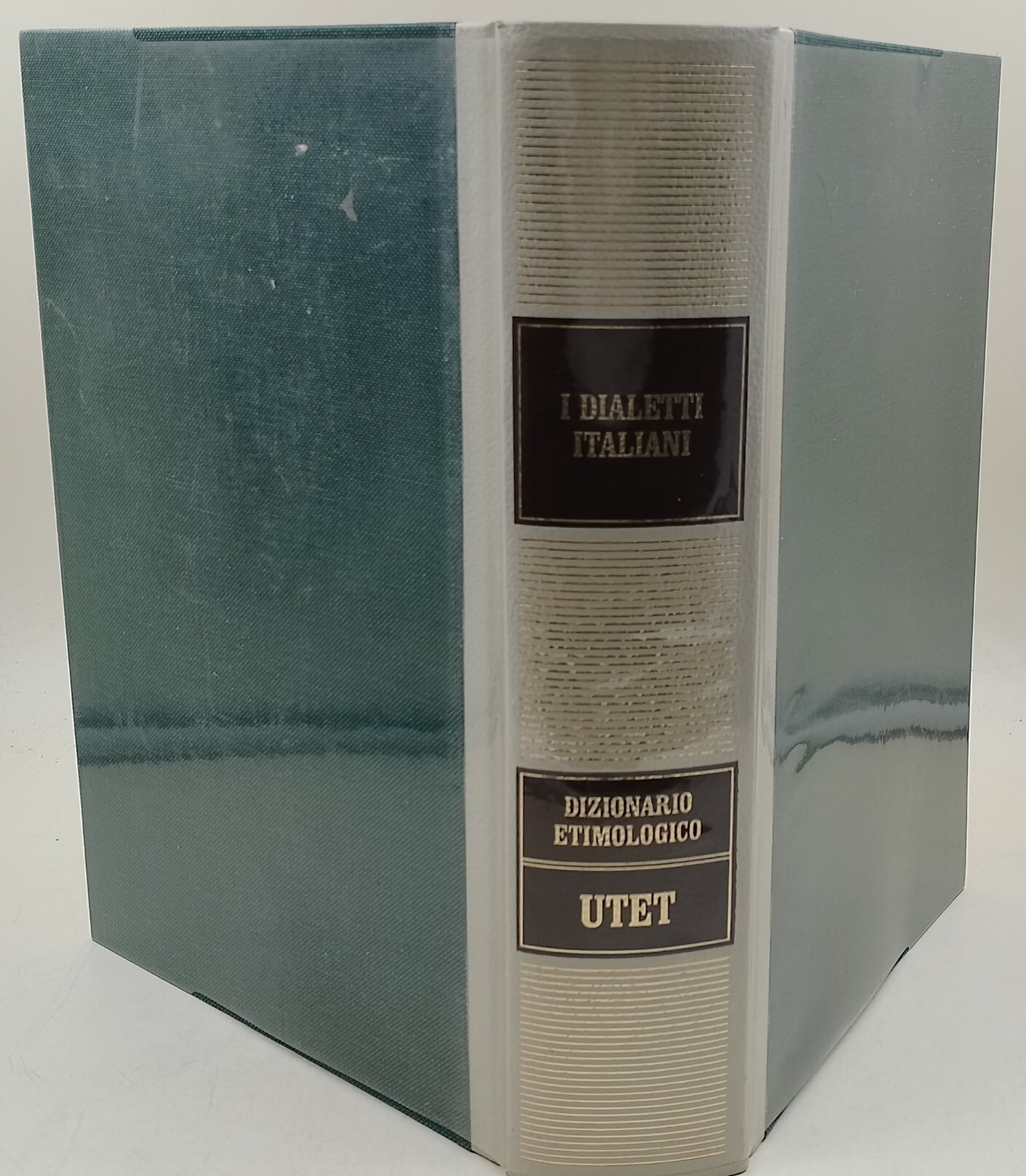I dialetti italiani-Dizionario etimologico