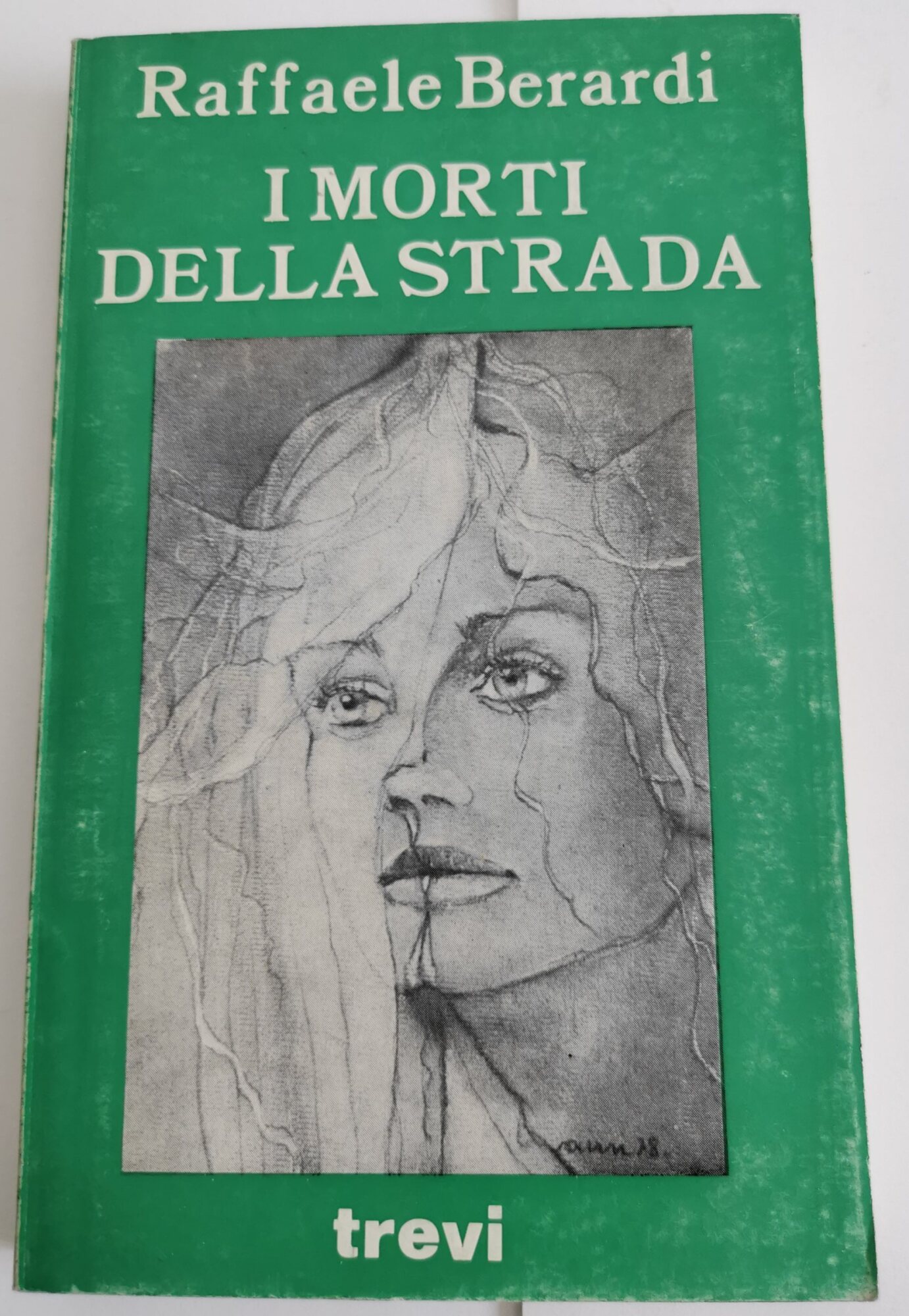 I morti della strada
