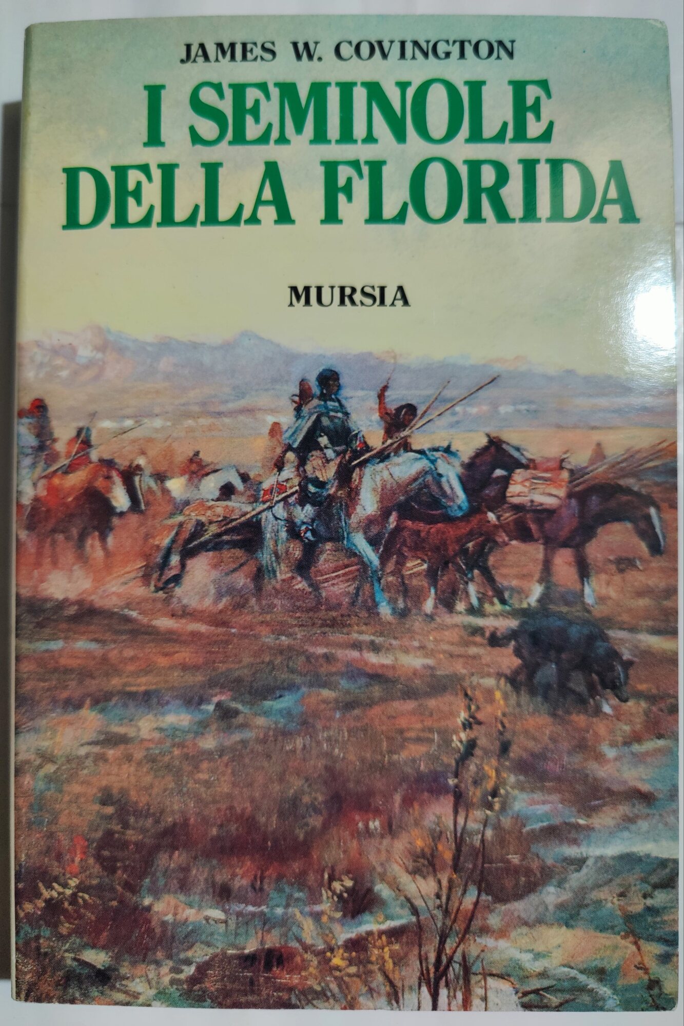 I Seminole della Florida