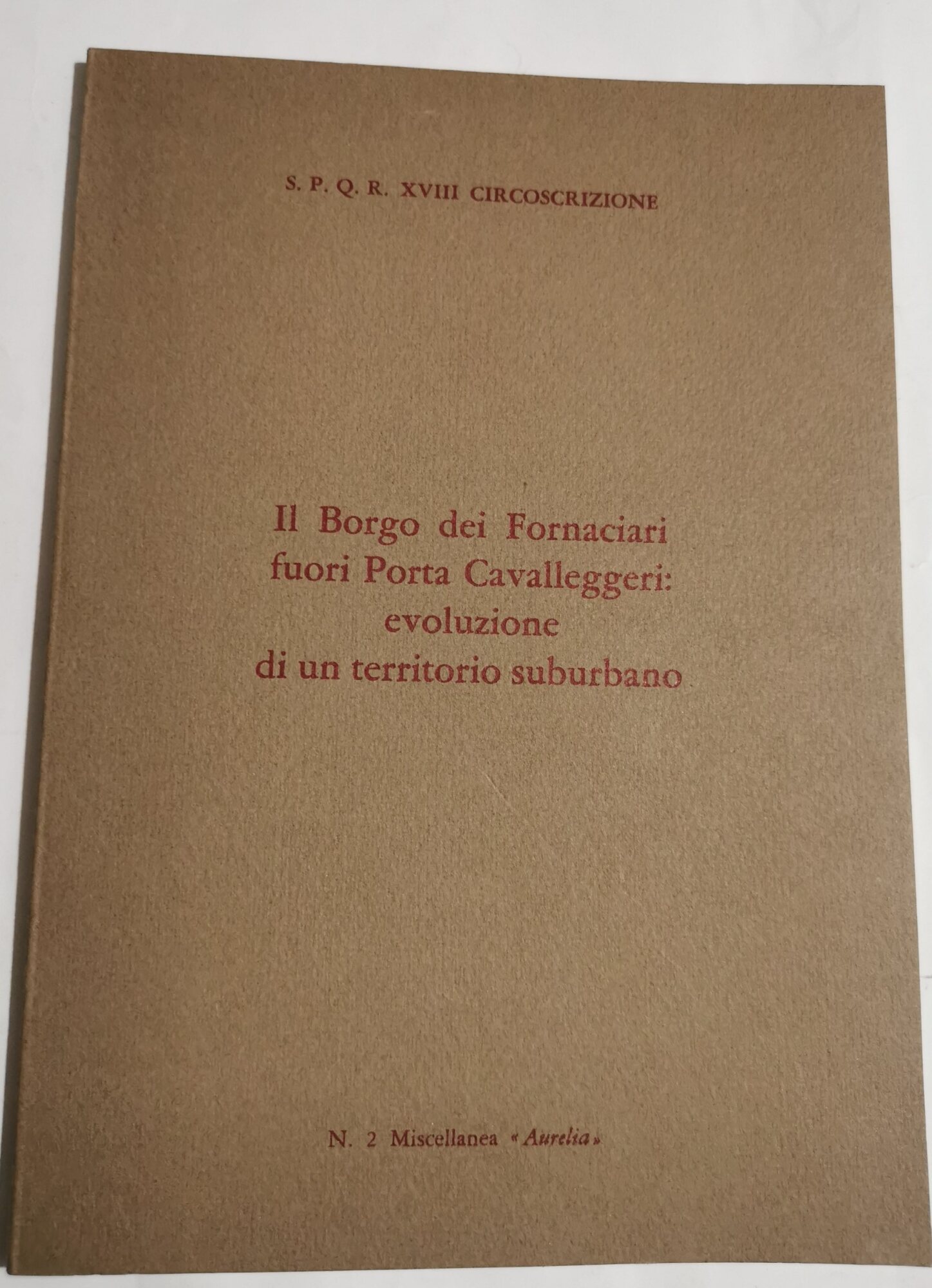 Il Borgo dei Fornaciari fuori Porta Cavalleggeri evoluzione di un …