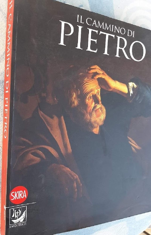 IL CAMMINO DI PIETRO(2013)