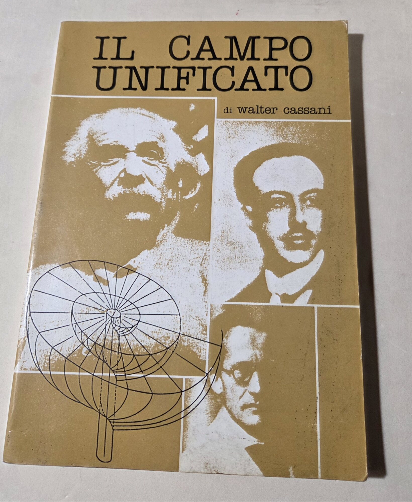Il campo unificato