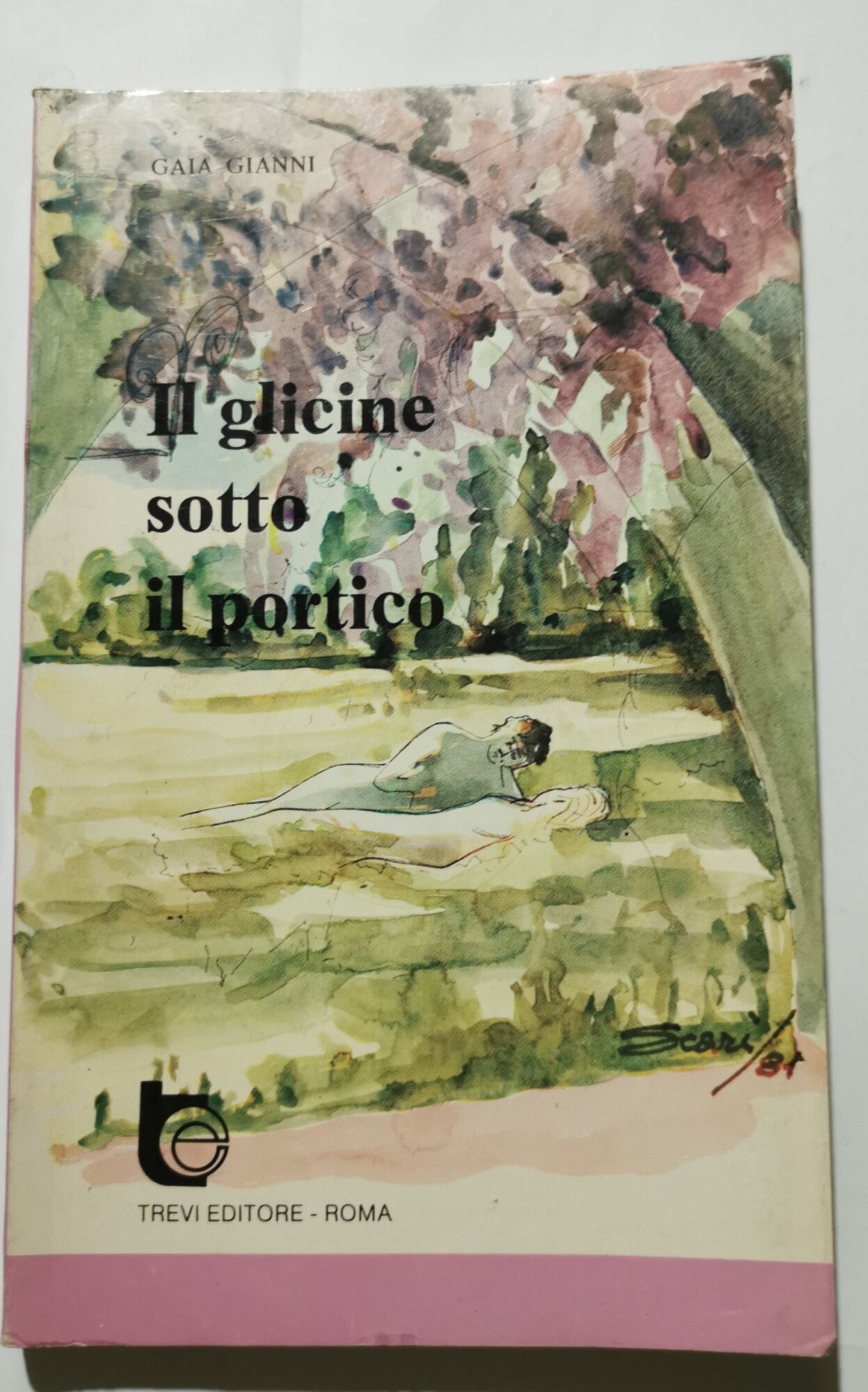 Il glicine sotto il portico
