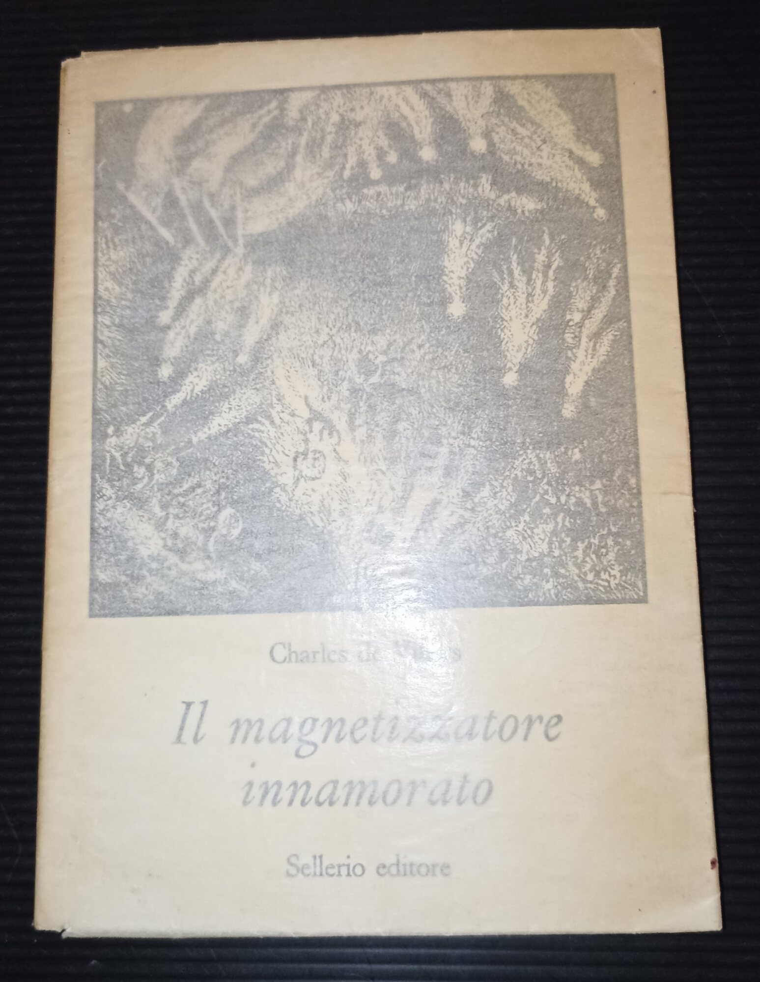 Il magnetizzatore innamorato