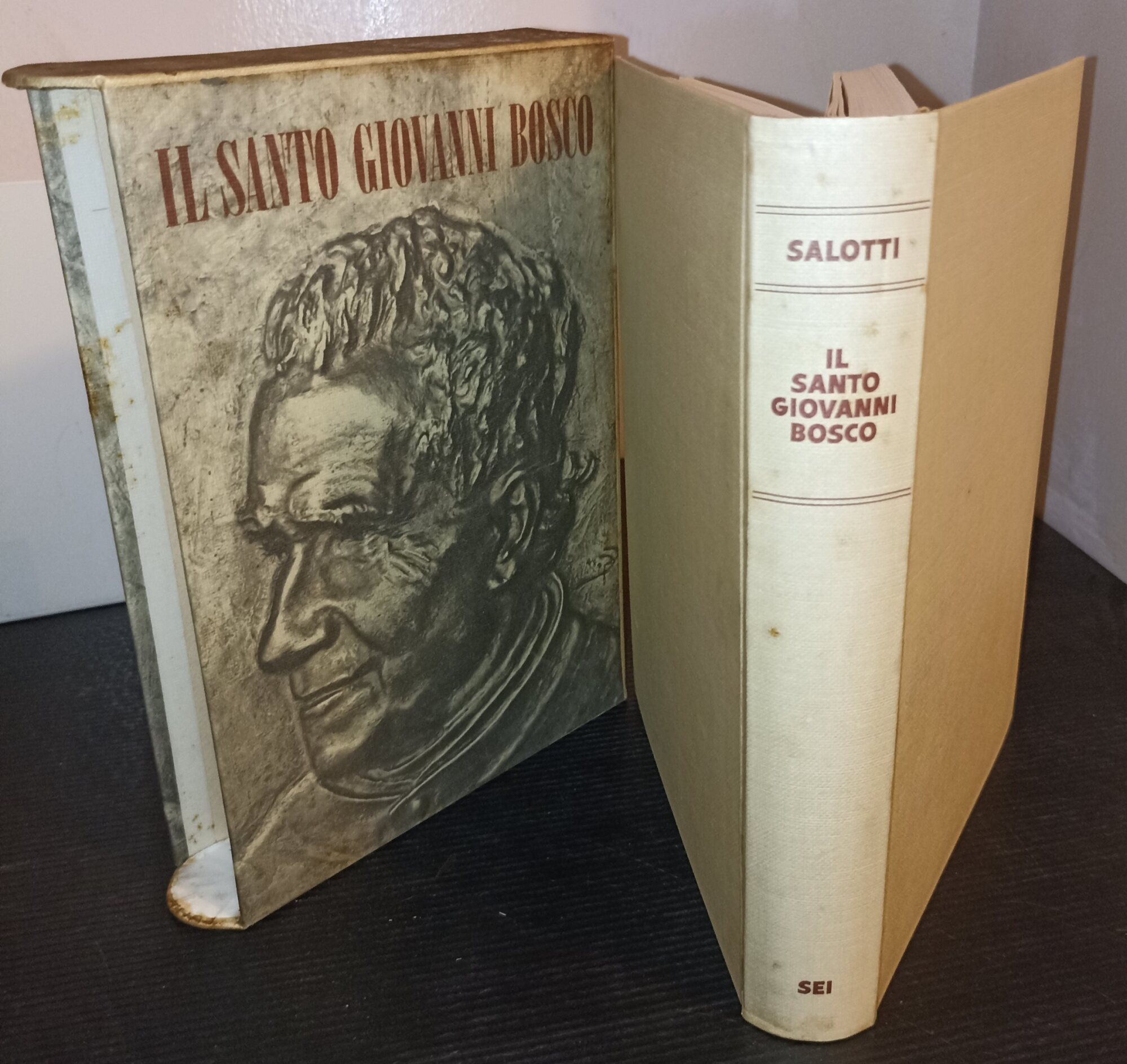 Il Santo Giovanni Bosco