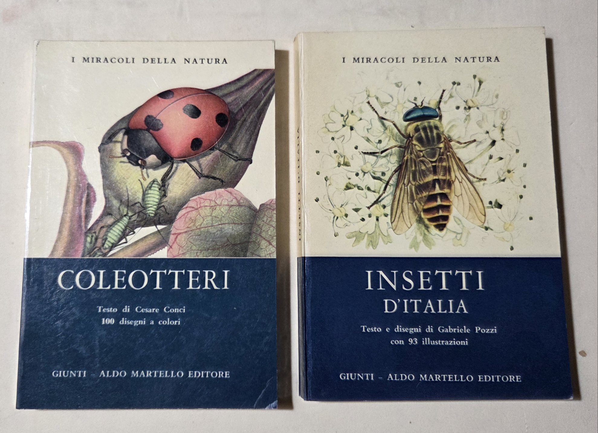 Insetti d'Italia - I coleotteri - 2 Voll.