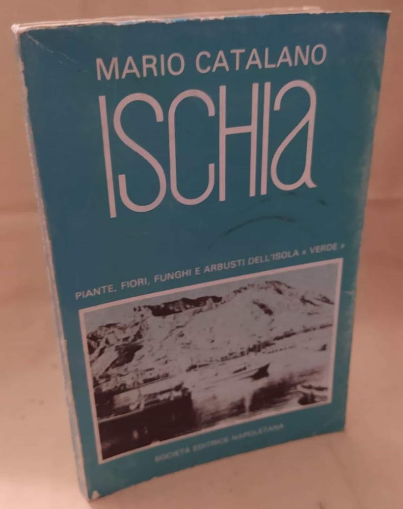 ISCHIA (1983)