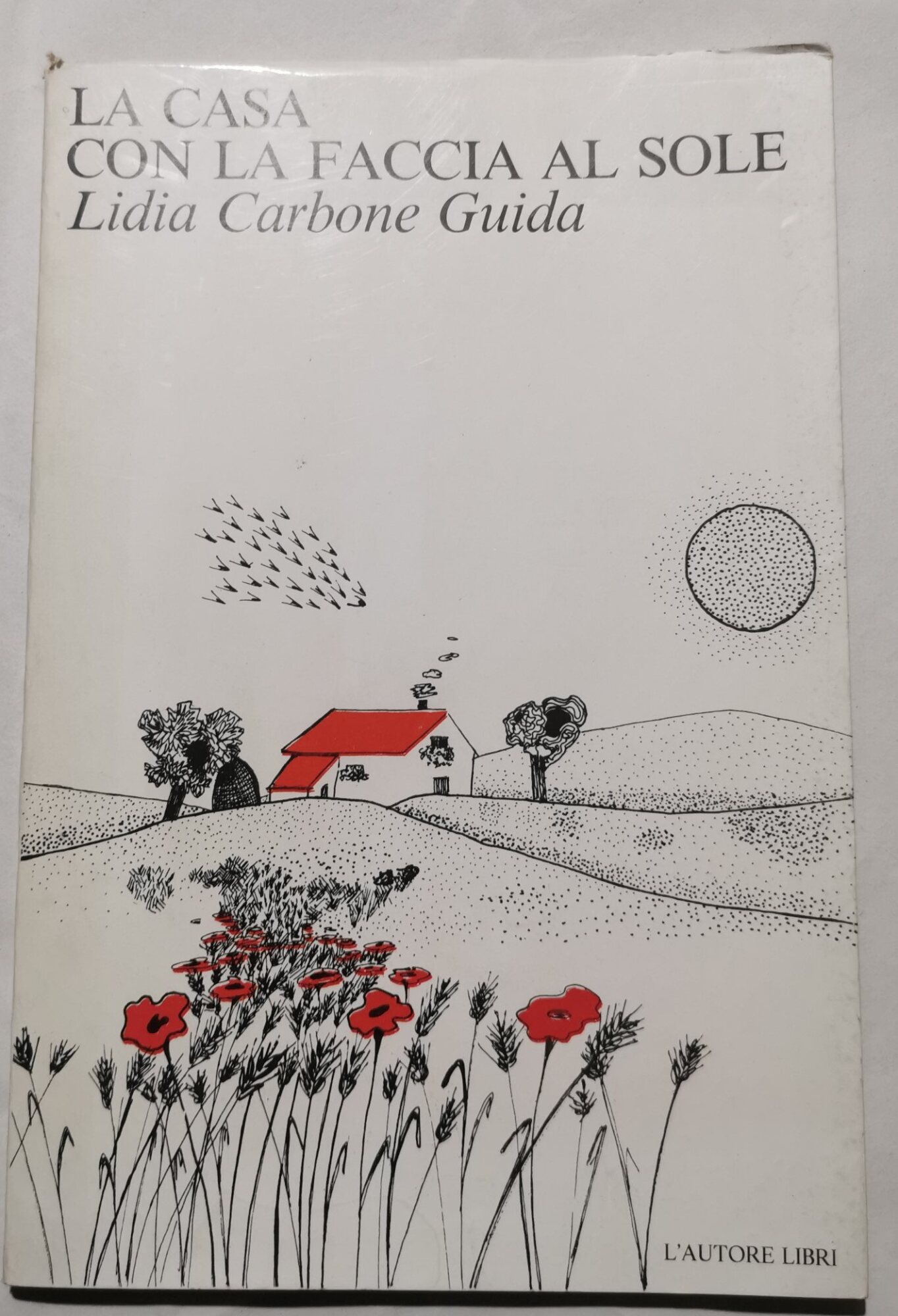 La casa con la faccia al sole