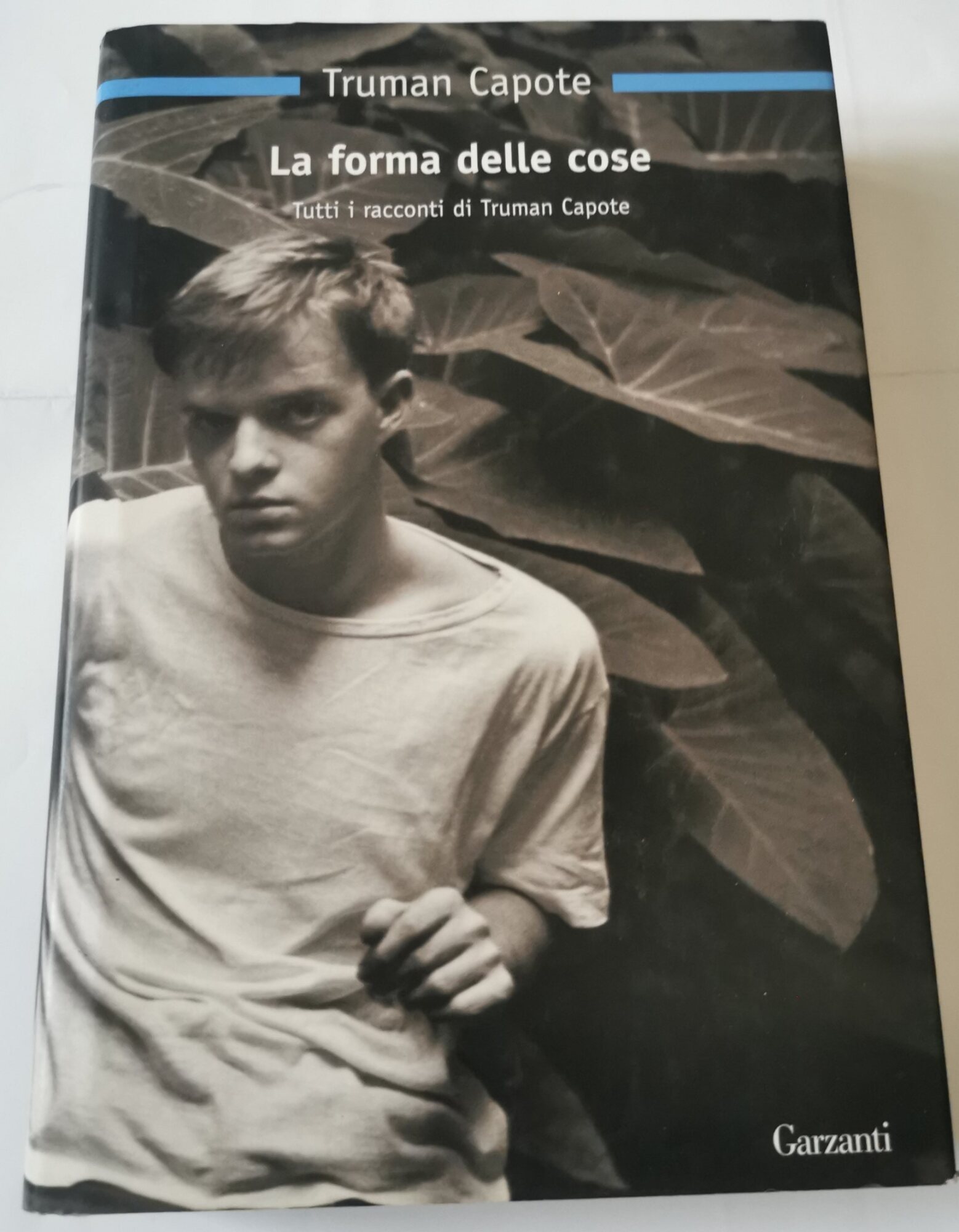 La forma delle cose