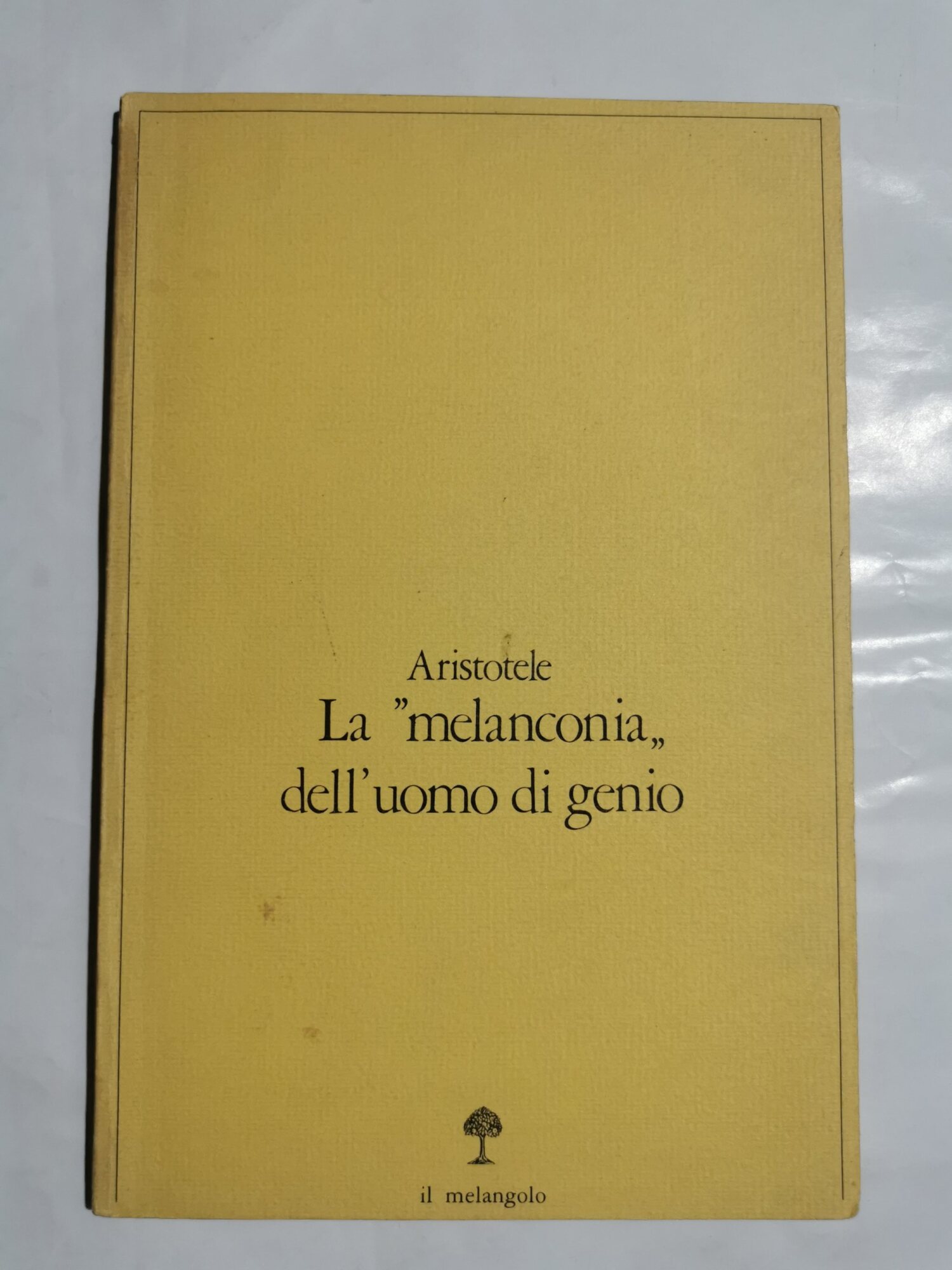 La " melanconia " dell'uomo di genio