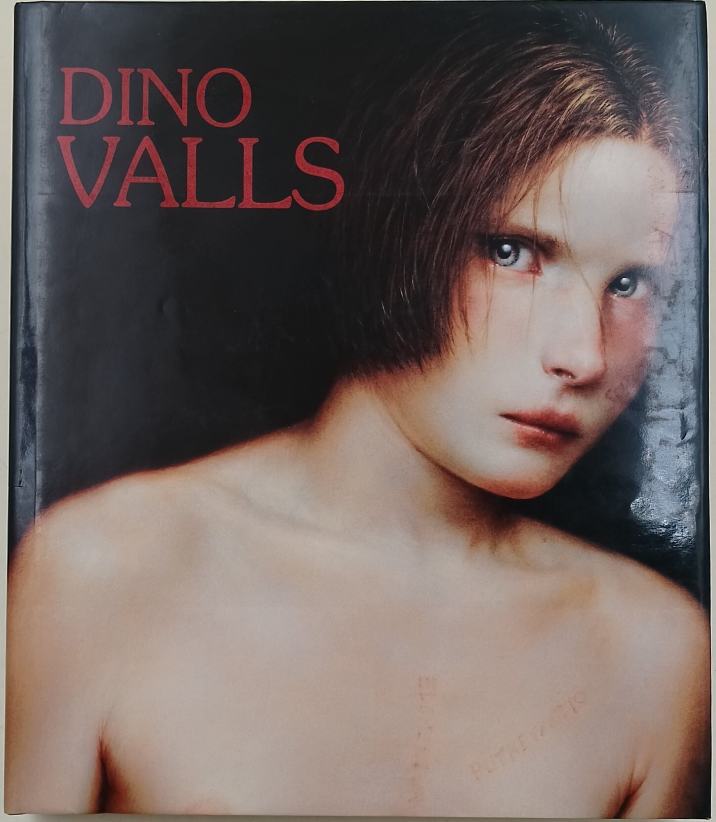 La peintura de Dino Valls/ Dino Valls's Painting