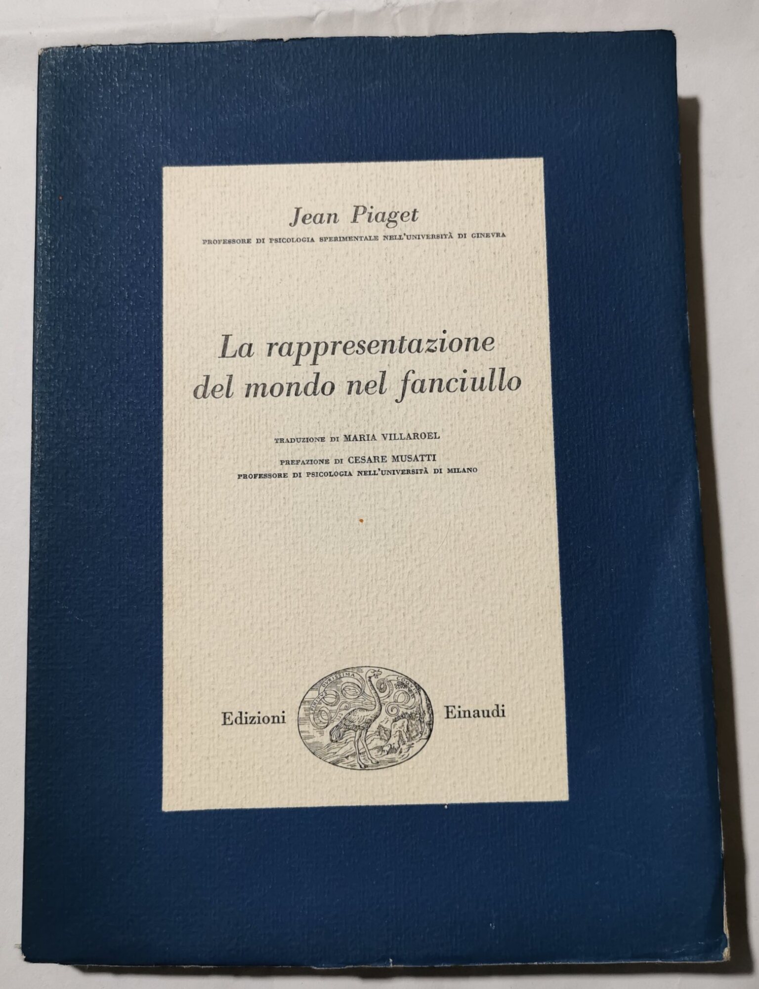 La rappresentazione del mondo nel fanciullo