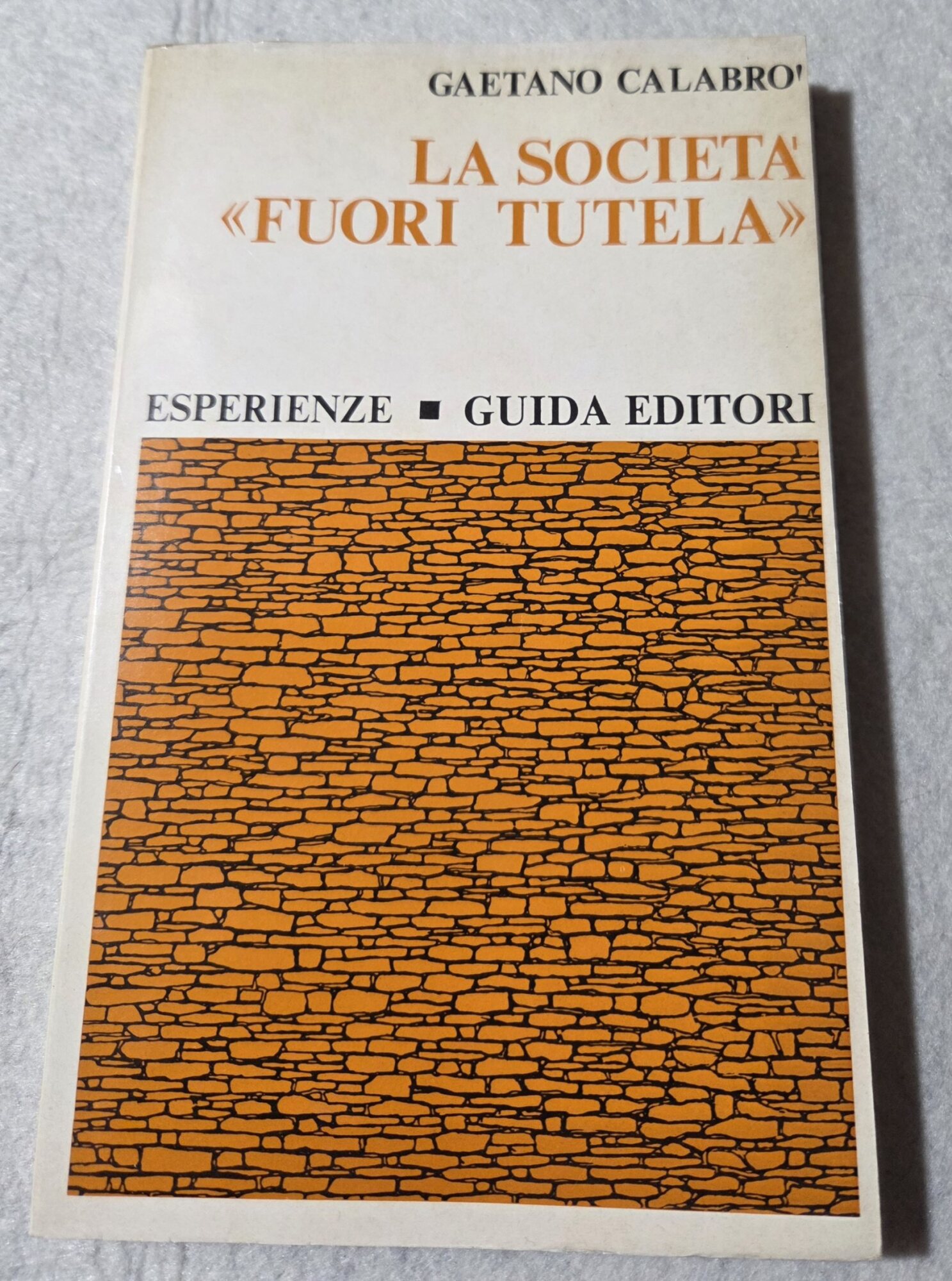 La societa' " fuori tutela"