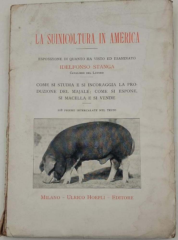 LA SUINICOLTURA IN AMERICA(ANNI '20)