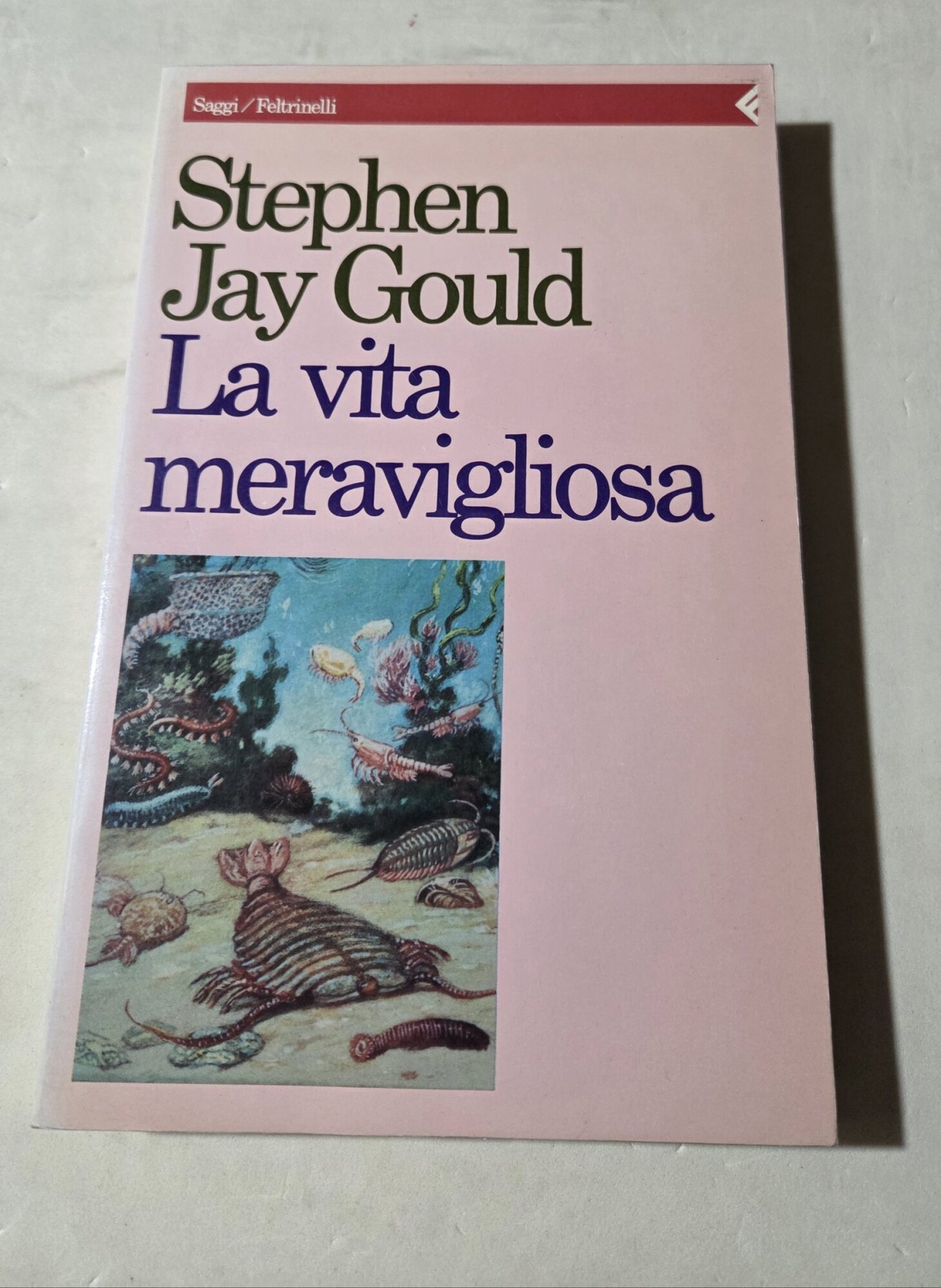 La vita meravigliosa. I fossili di Burgess e la natura …