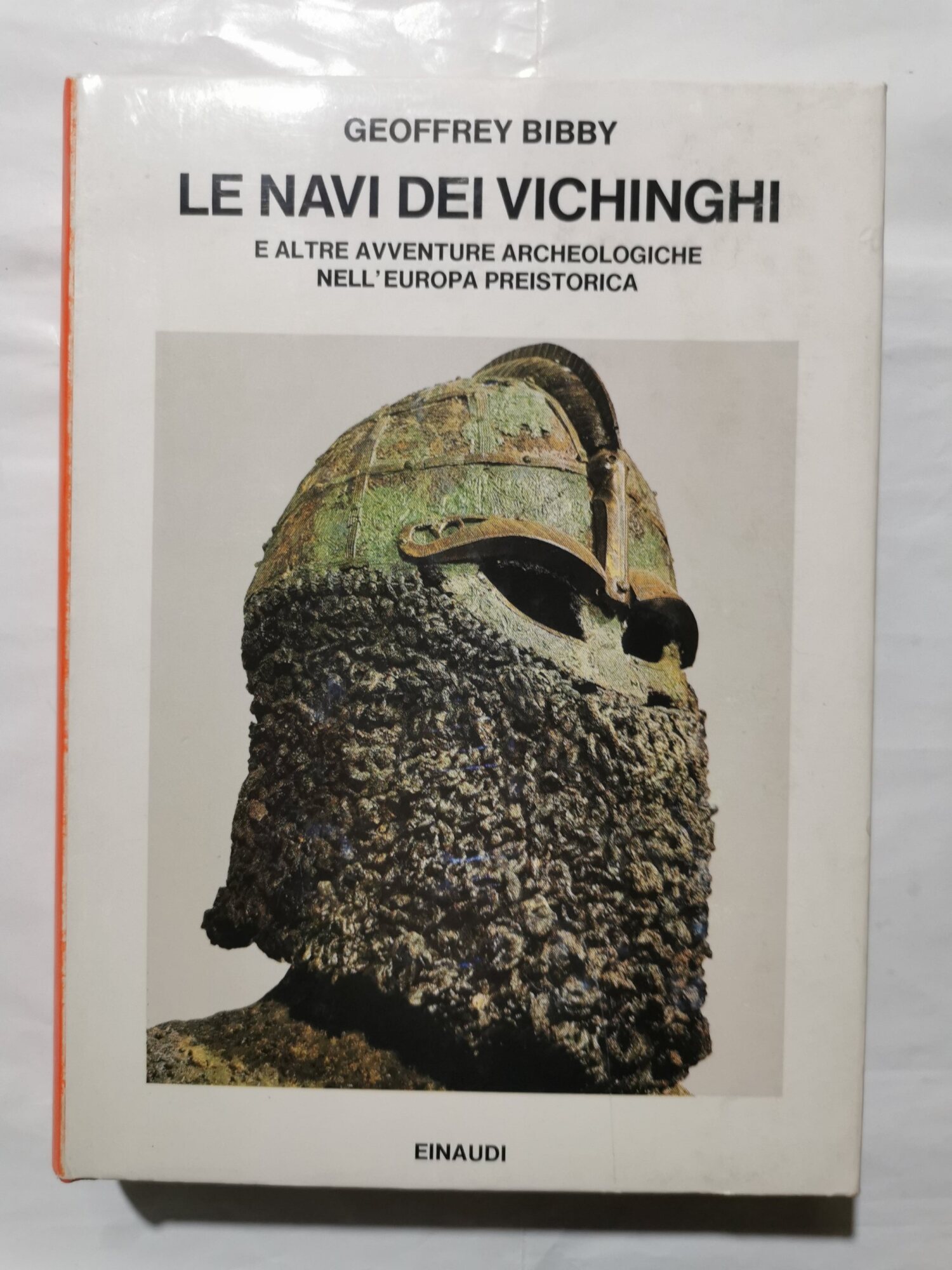 Le navi dei Vichinghi e altre avventure archeologiche nell'Europa preistorica