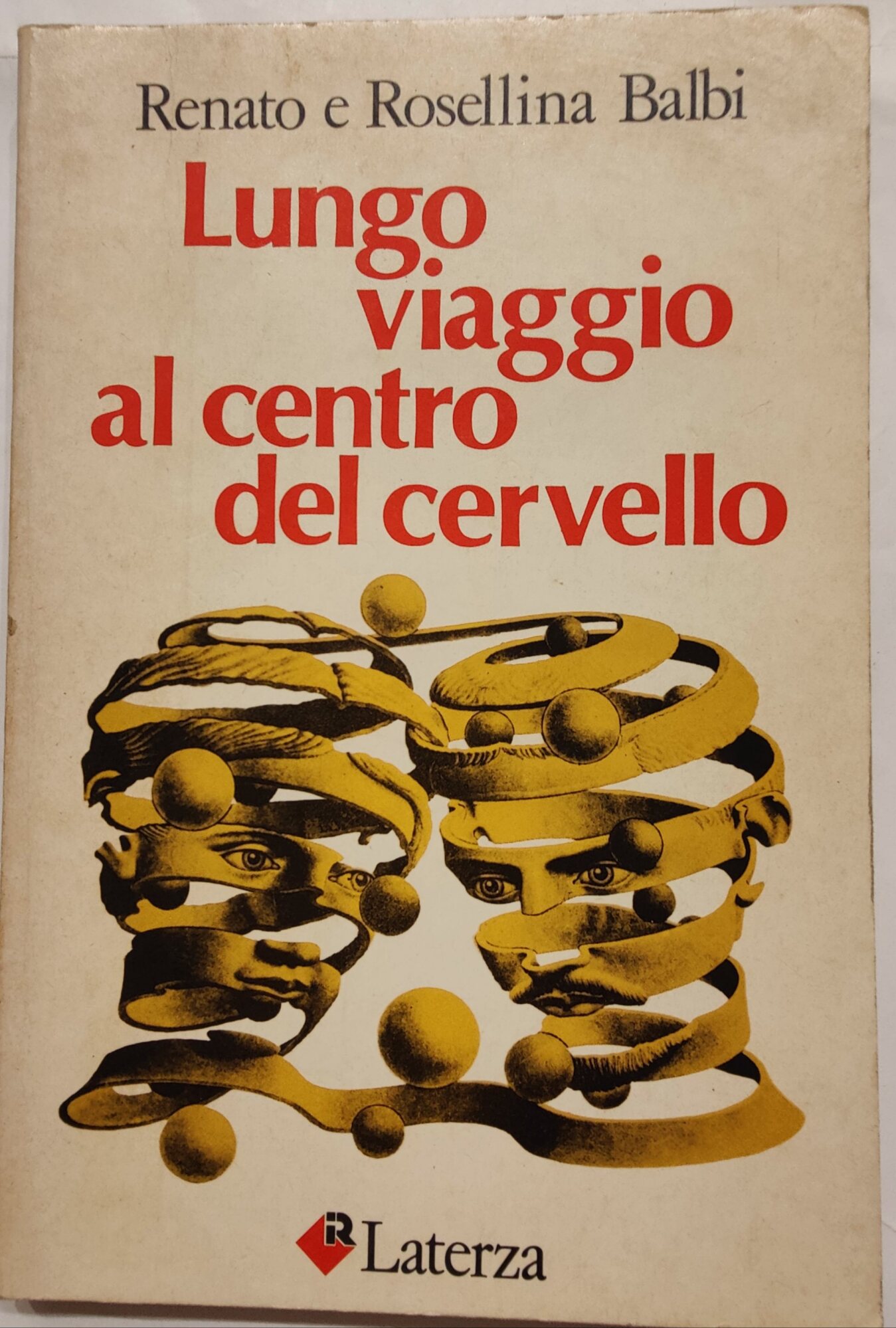 Lungo viaggio al centro del cervello