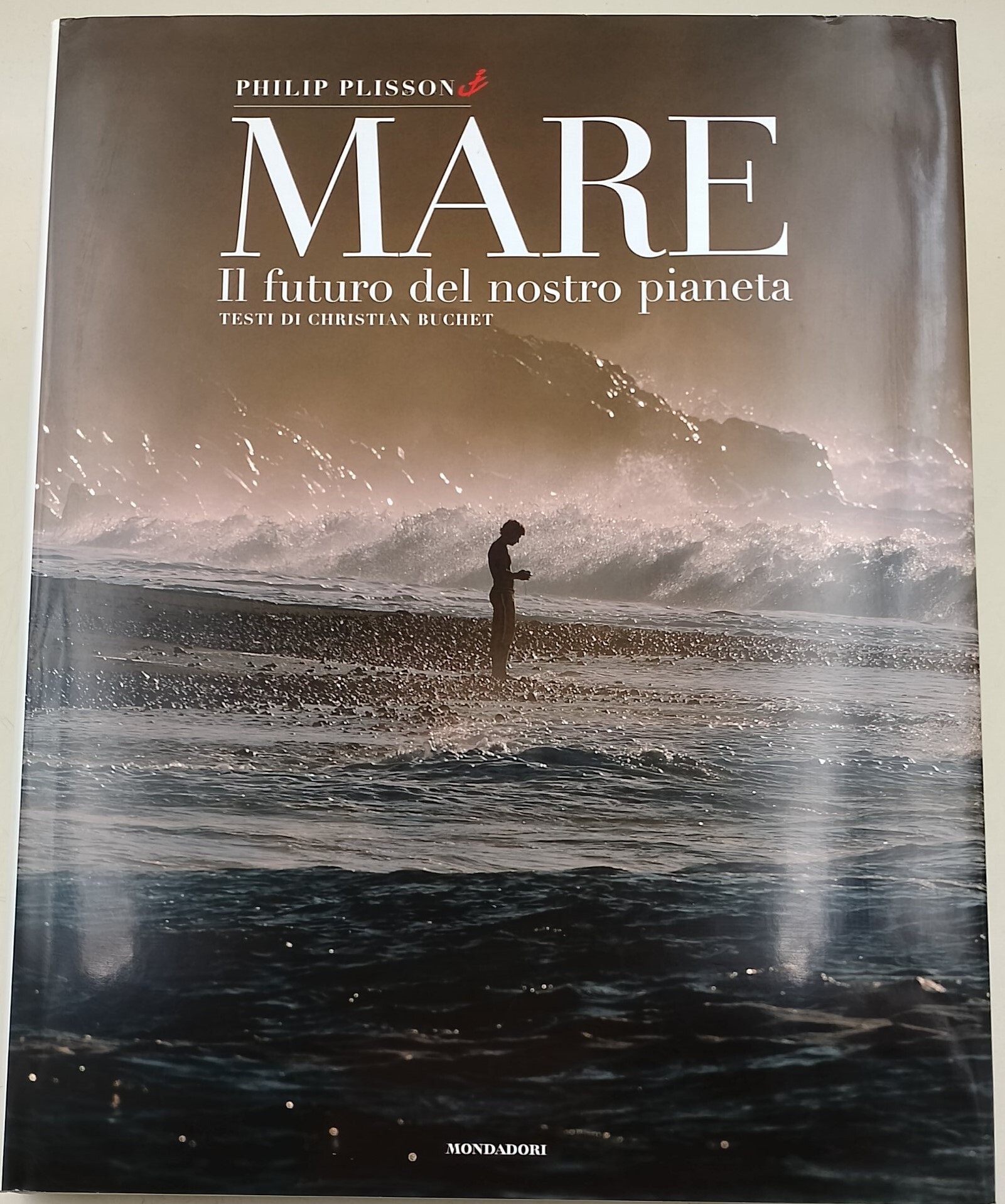 Mare. Il futuro del nostro pianeta. Ediz. illustrata