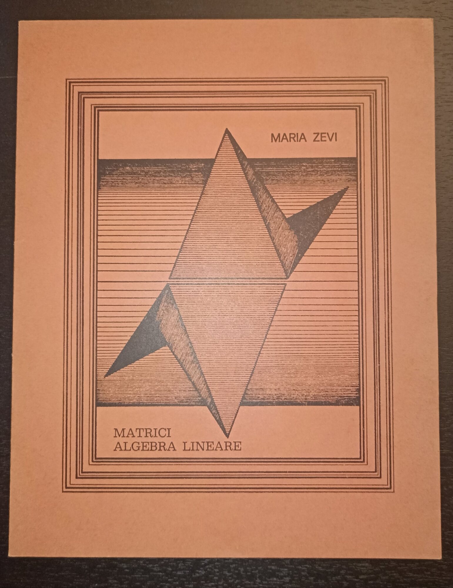 Matrici algebra lineare