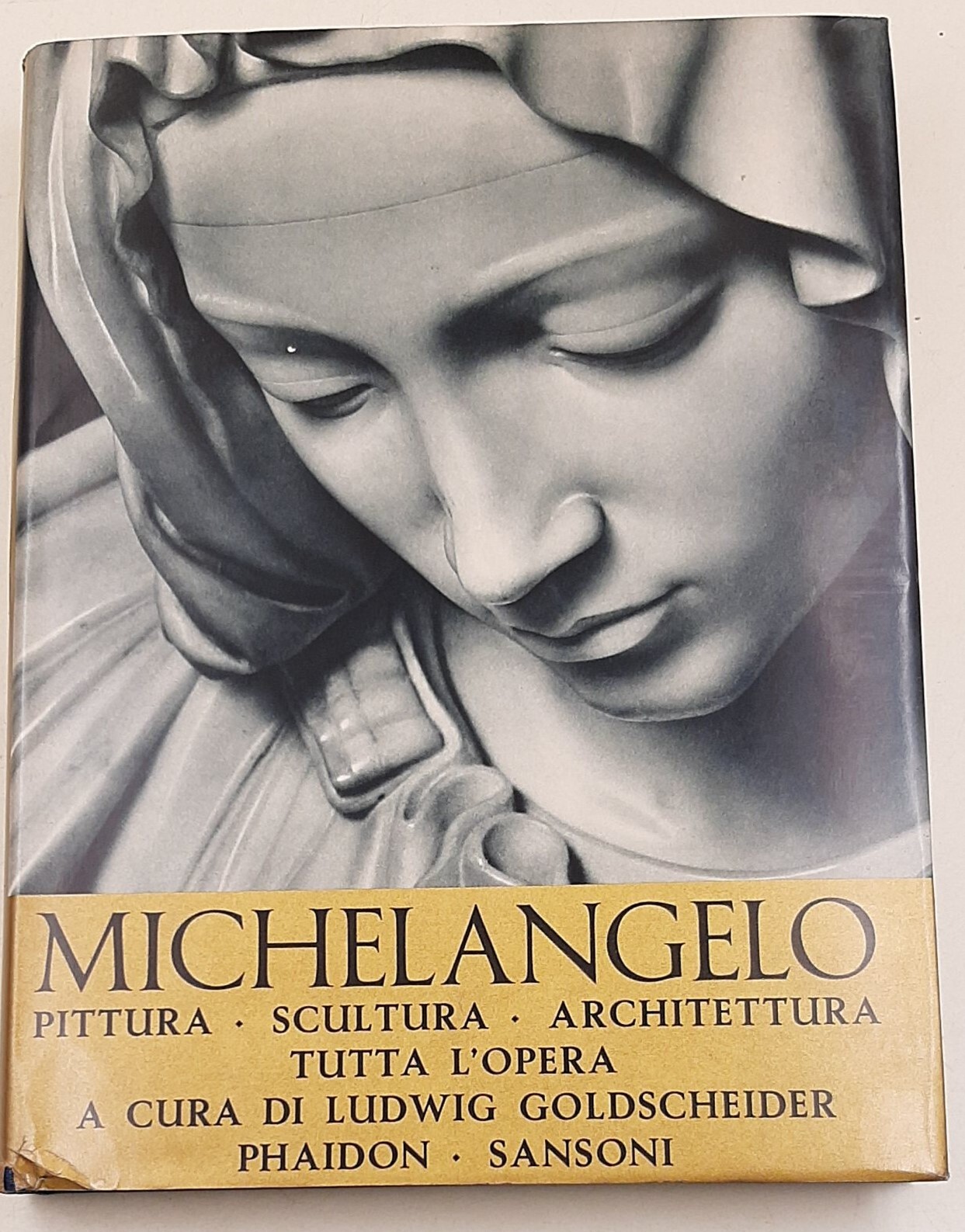 Michelangelo - Pittura, scultura, architettura