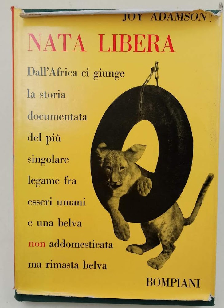 NATA LIBERA-UNA BELVA FRA DUE MONDI(1961)
