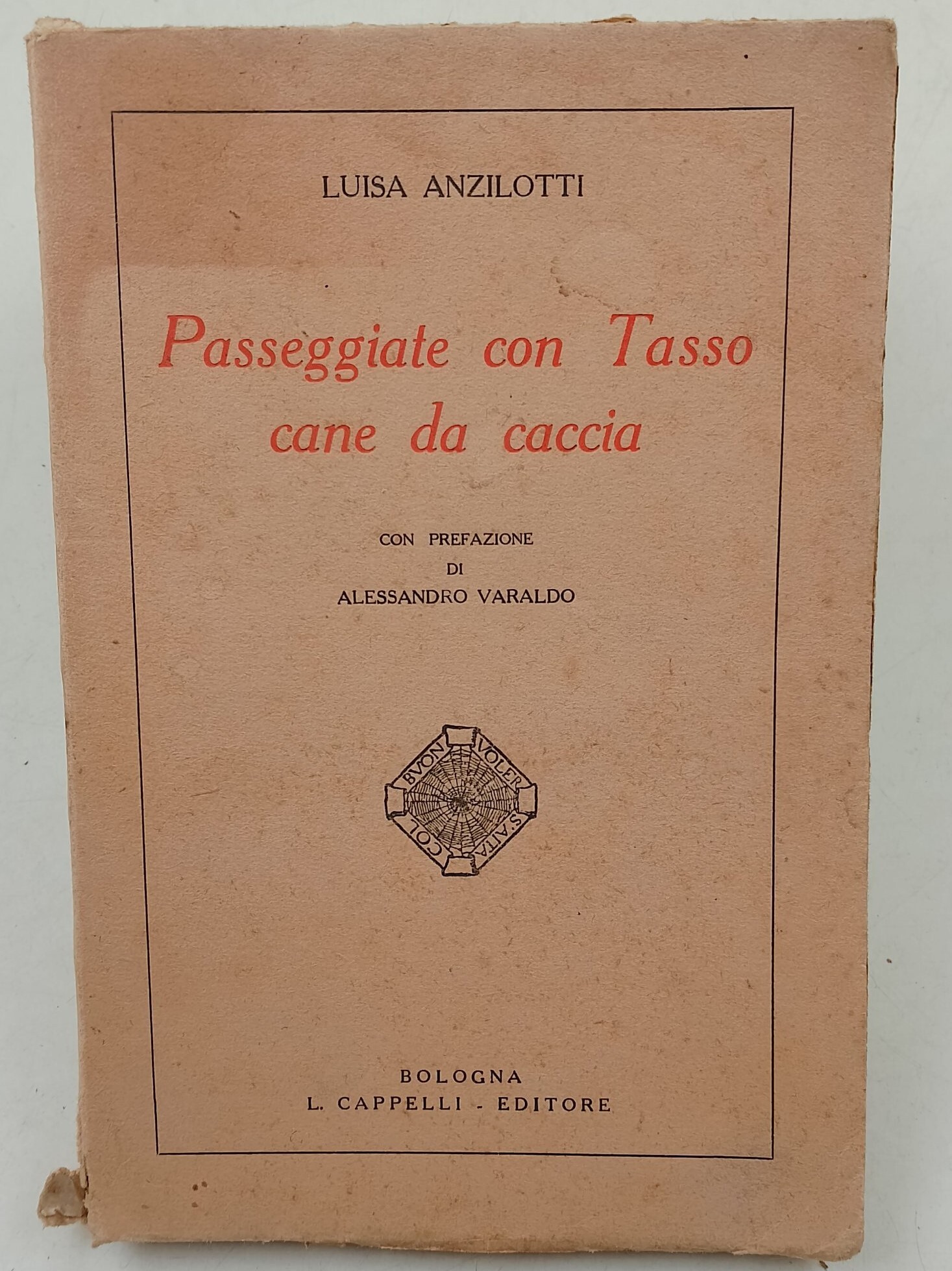 Passeggiate con Tasso cane da caccia