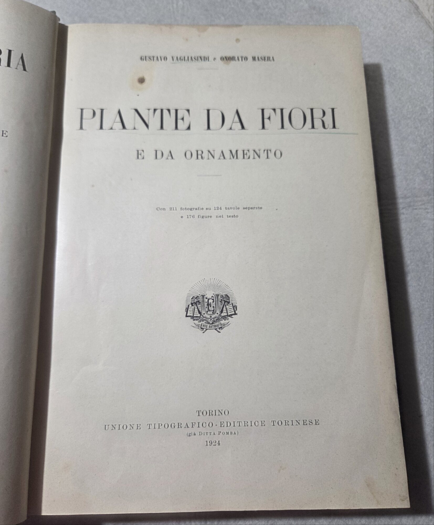Piante da fiori e da ornamento