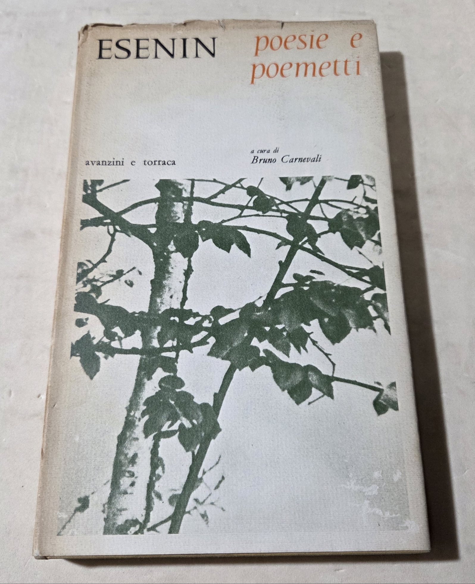 Poesie e poemetti