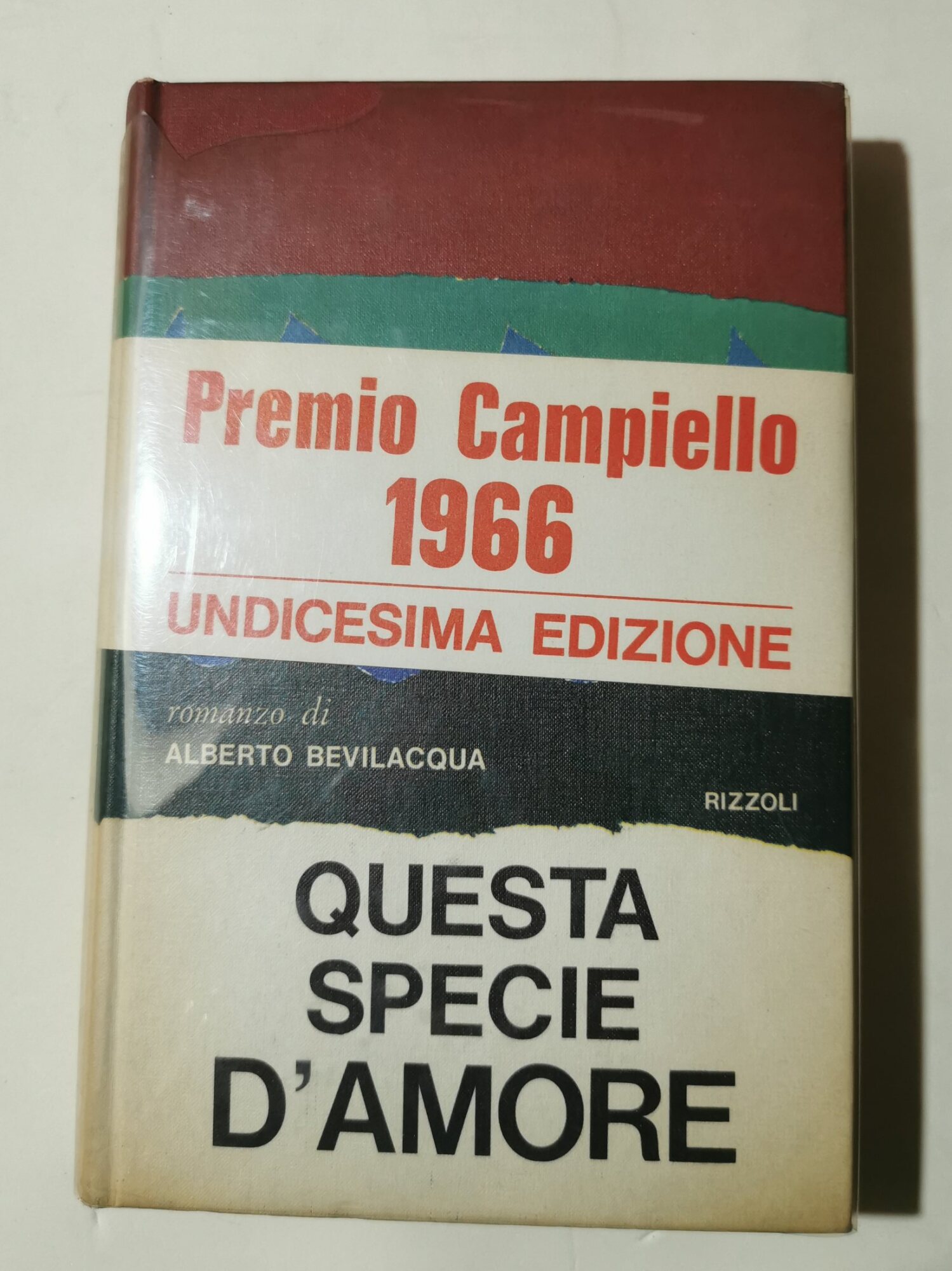 Questa specie di amore