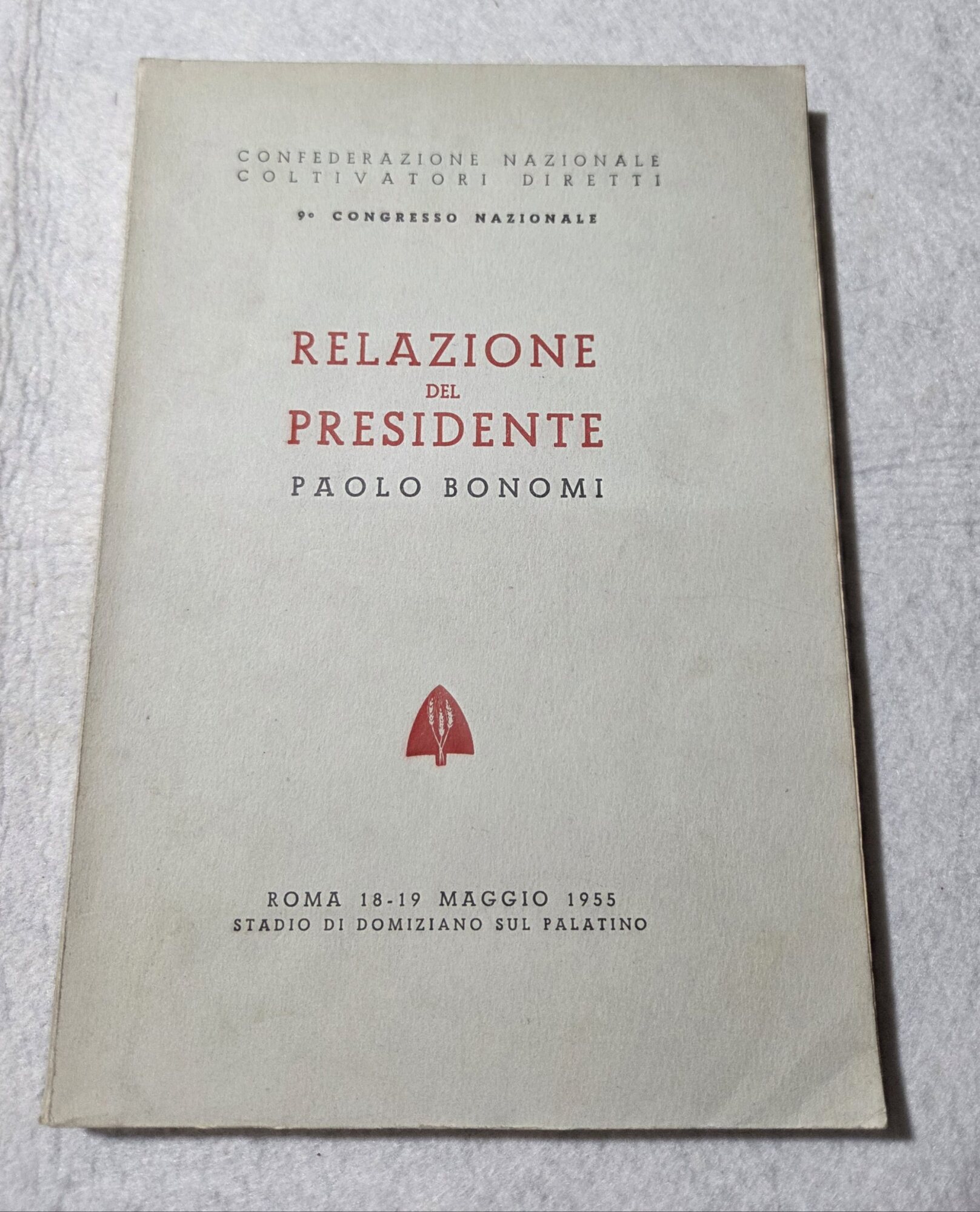 Relazione del Presidente